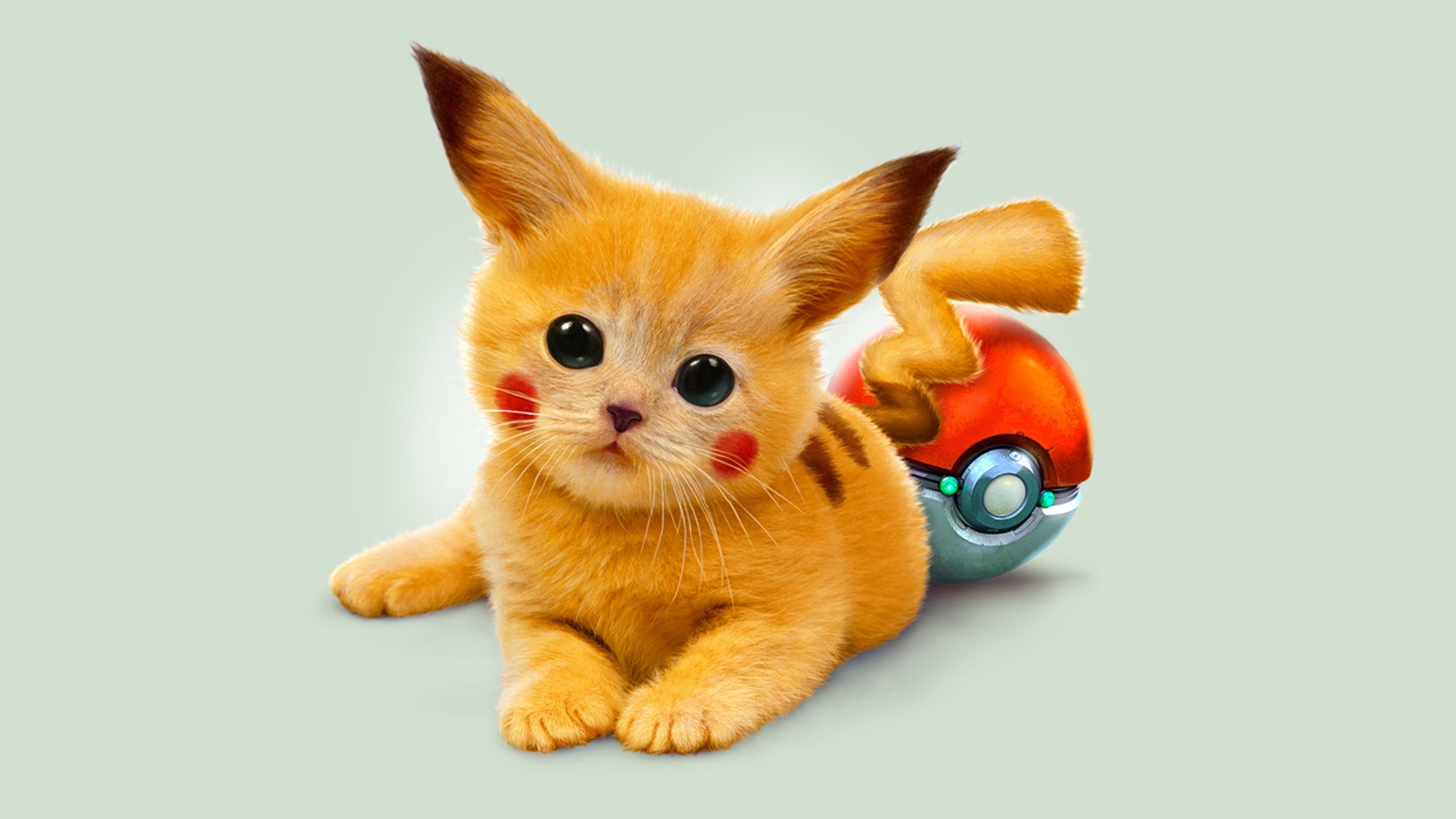 Pikachu, Pokémon, Gattino, Poké Ball, Fotomontaggio, 4K, sfondo per portatile