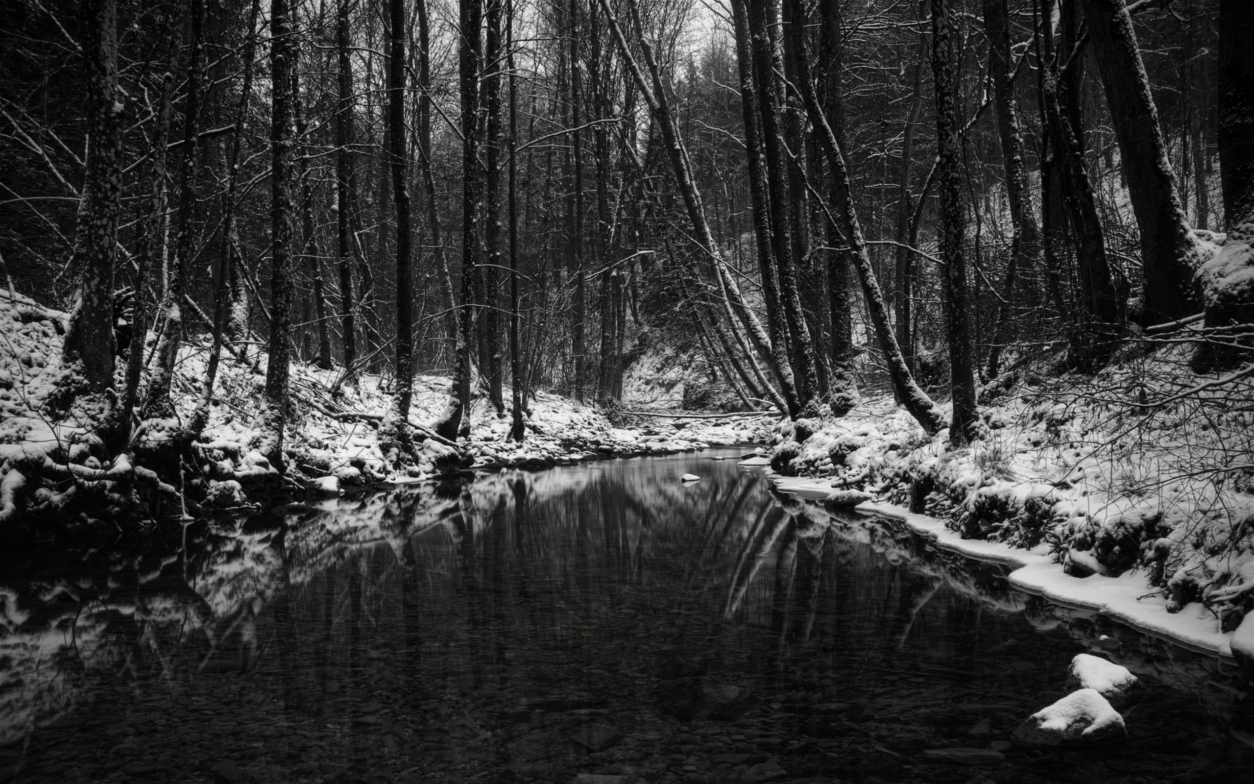 Ruscello, Foresta, Neve, Inverno, 2560x1600, wallpaper desktop