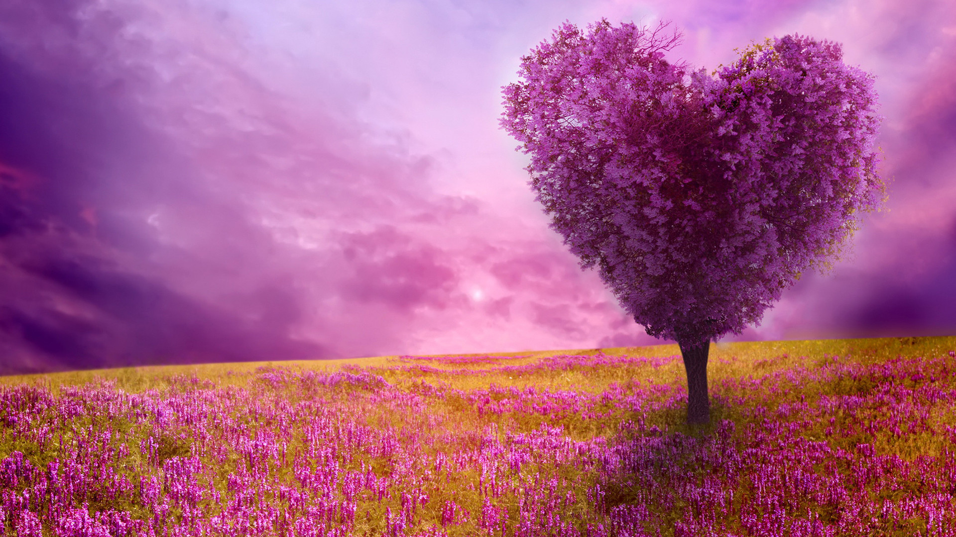 Albero a forma di cuore, Campo fiorito, Viola, Arte digitale, Full HD, wallpaper per computer