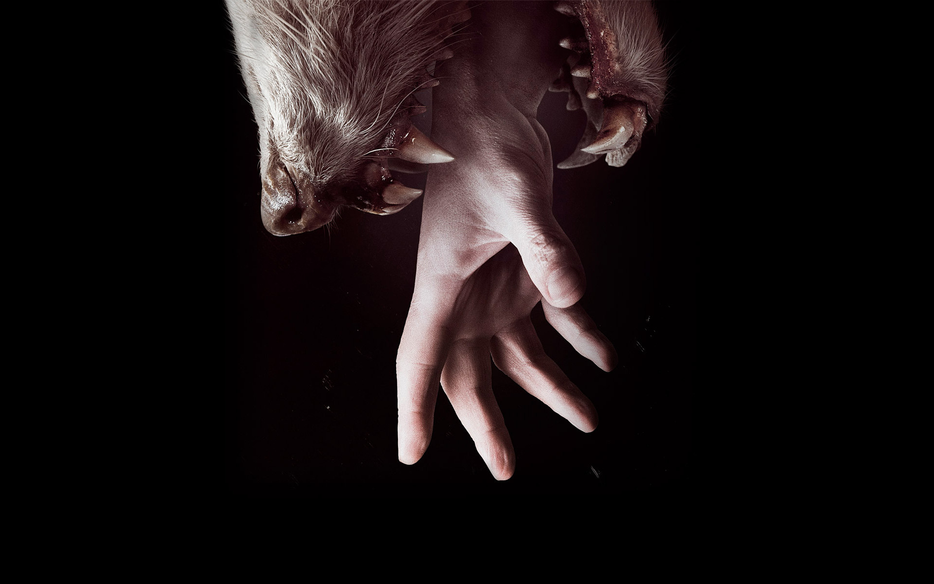 Mano, Mostro, Sfondo nero, 16:10 Full HD, wallpaper widescreen