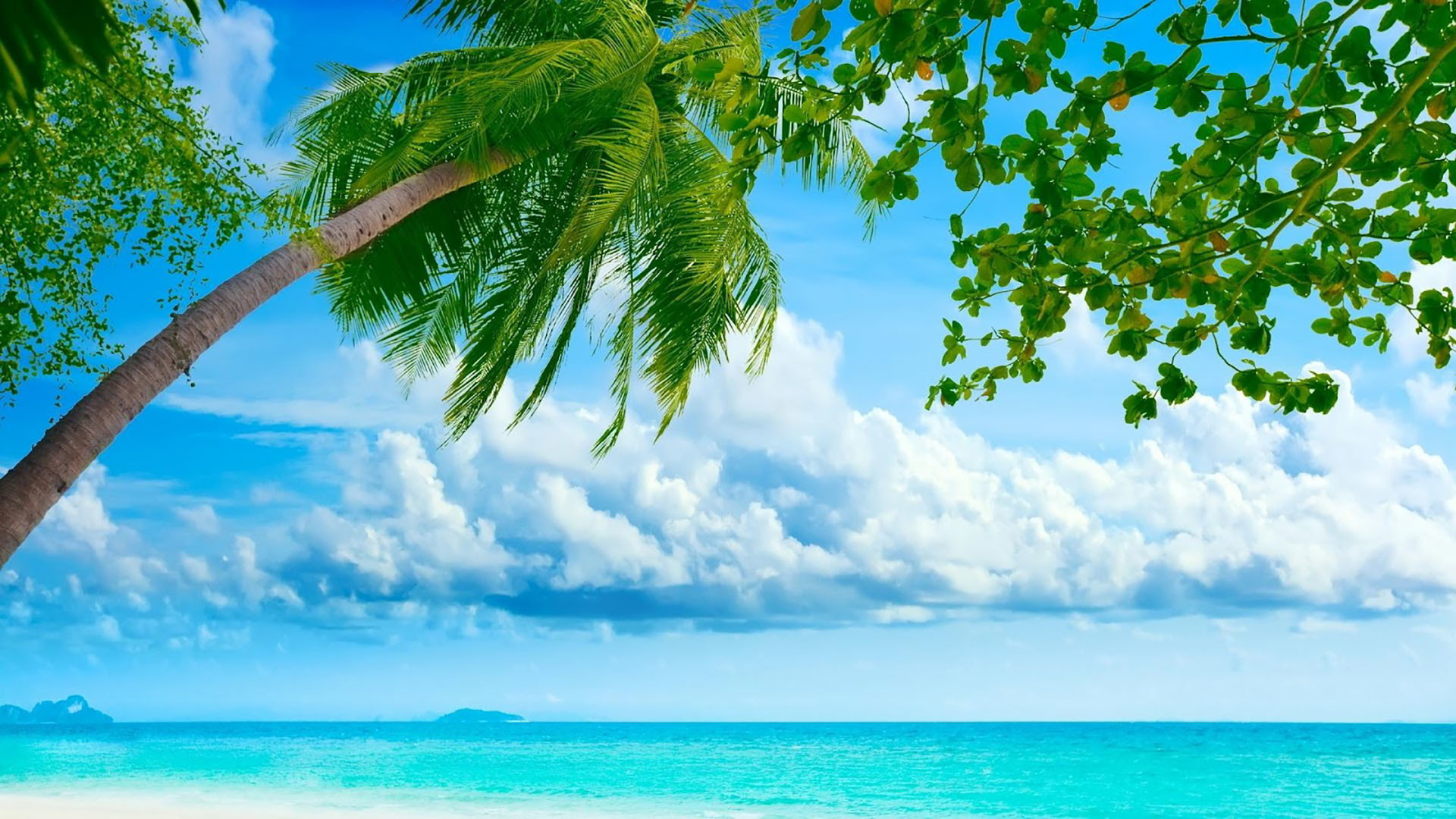 Spiaggia tropicale, Palma, Mare turchese, Nuvole, 1920x1080, sfondo per PC