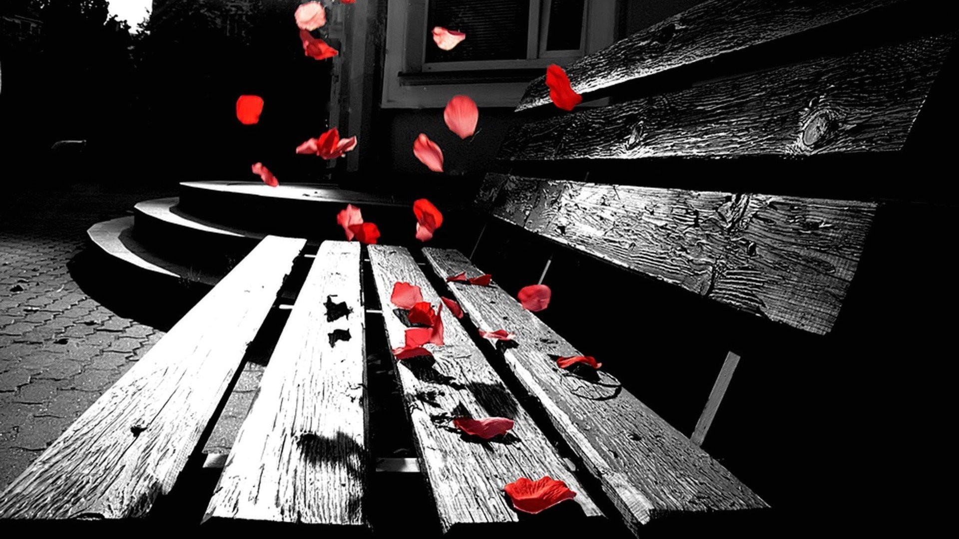 Petali di rosa, Panchina, Bianco e nero, Rosso, Full HD 1080p, sfondo desktop