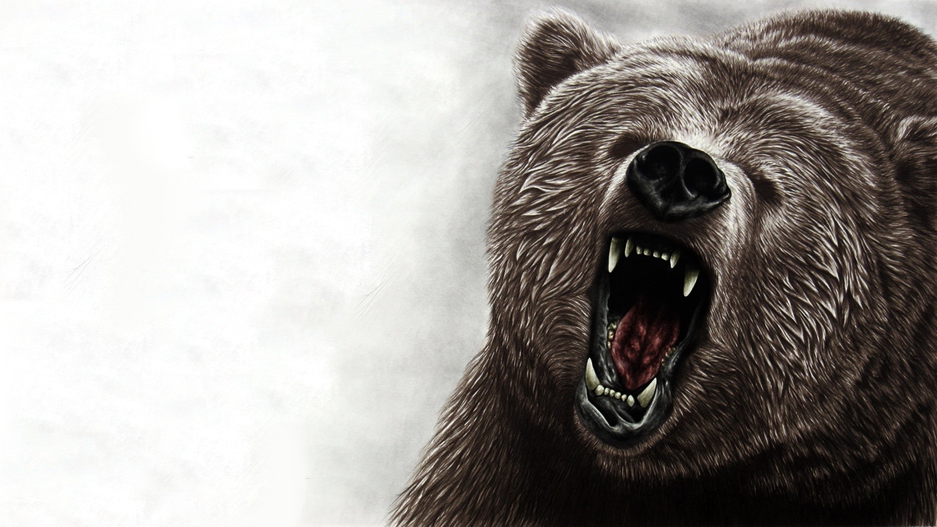 Orso, Ruggito, Zanne, Disegno, 1920x1080, sfondo per PC