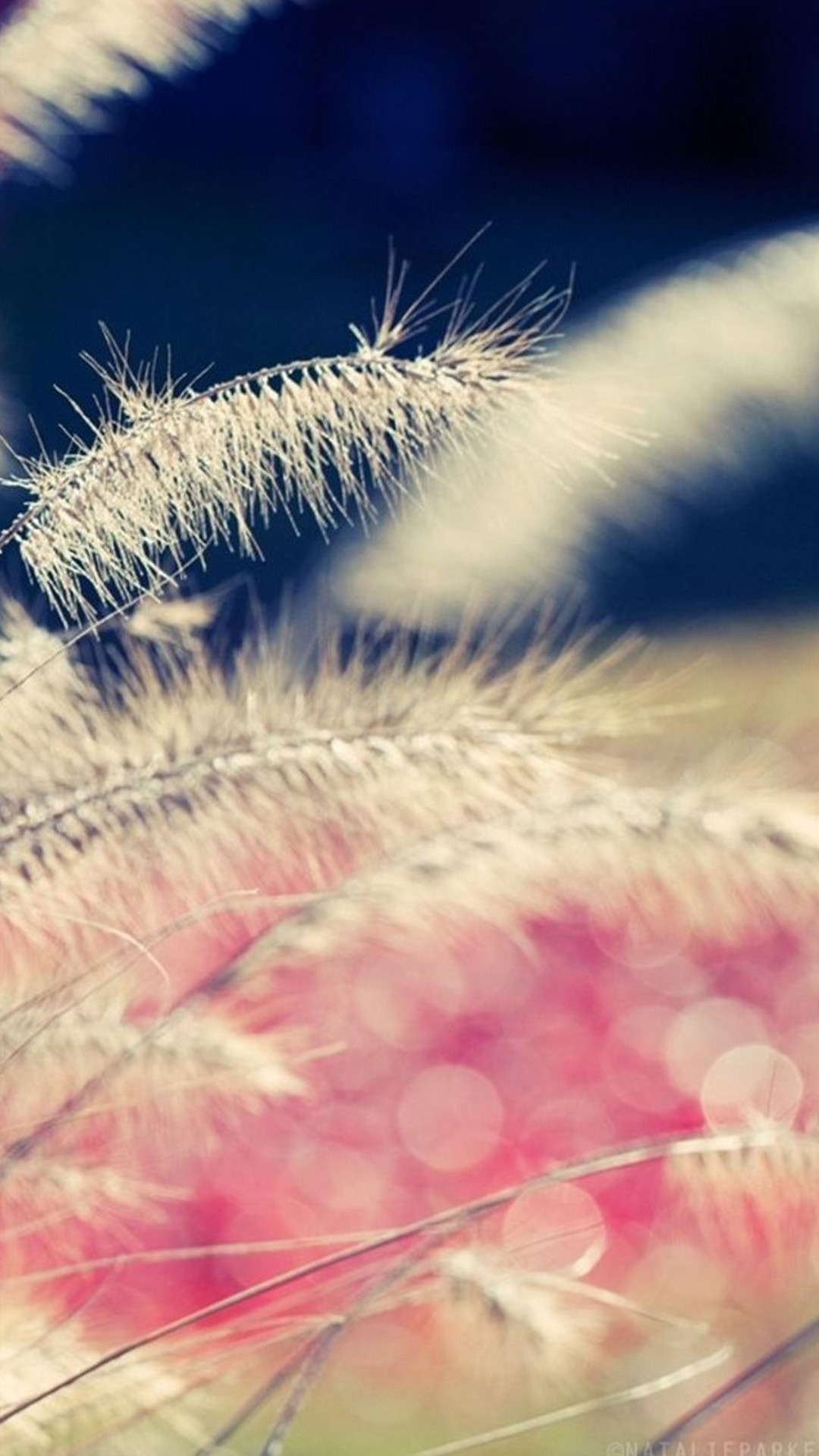 Erba piumosa, Pastello, Bokeh, Full HD, sfondo verticale per cellulare