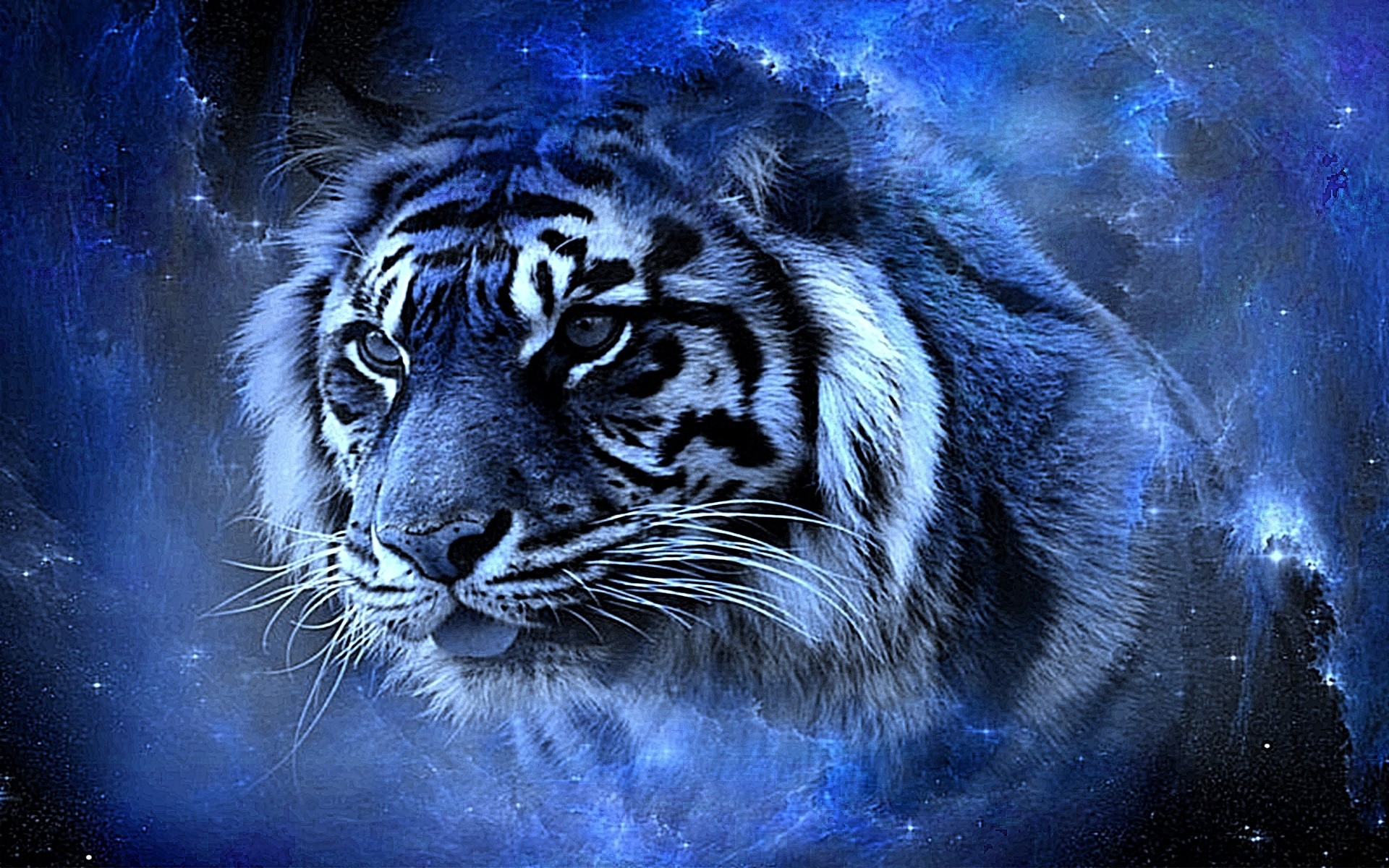 Tigre, Blu, Arte digitale, 1920x1200, sfondo MacBook Pro