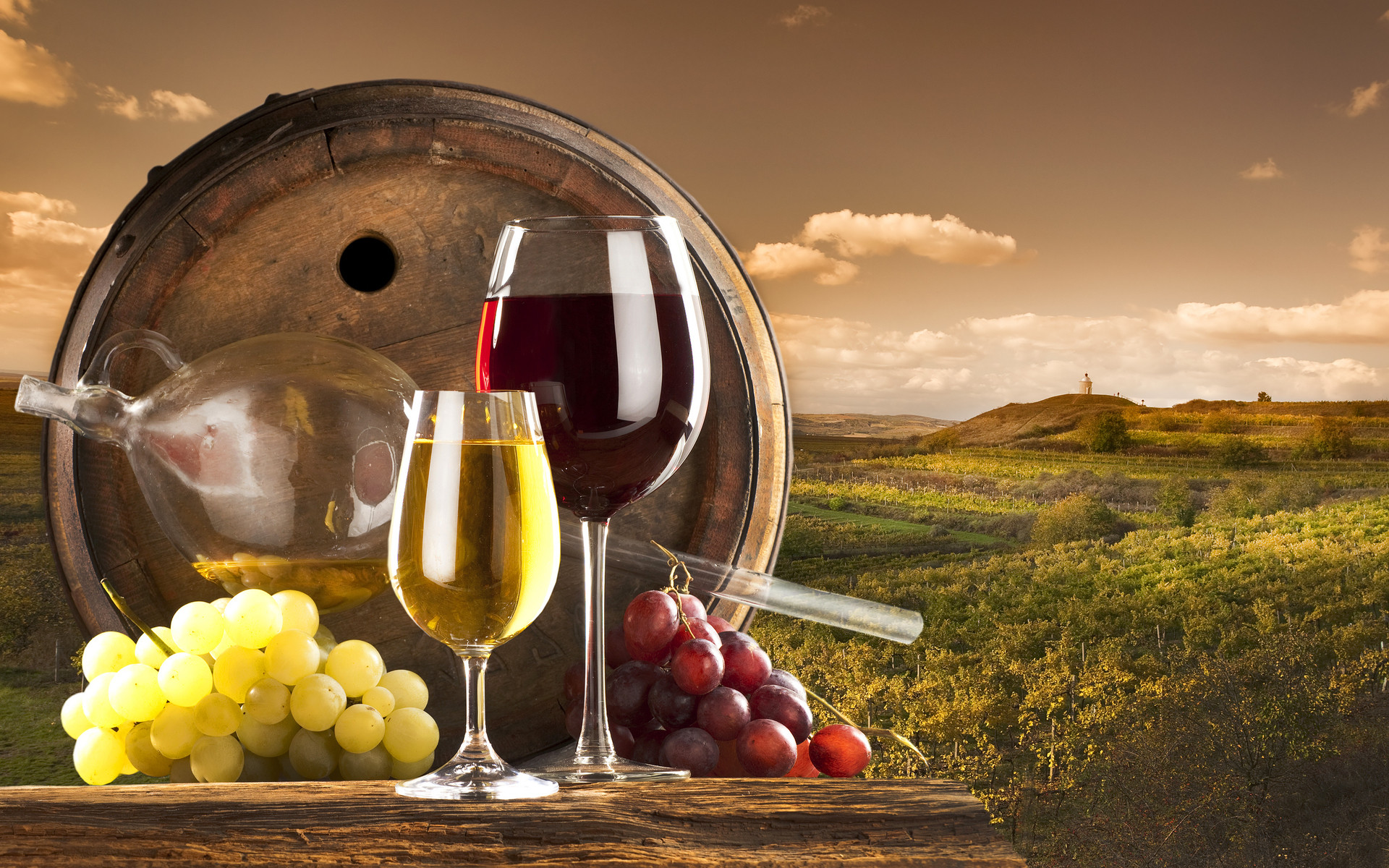 Botte di vino, Vino rosso, Vino bianco, Calici, Uva, Vigneto, 1920x1200, sfondo per PC