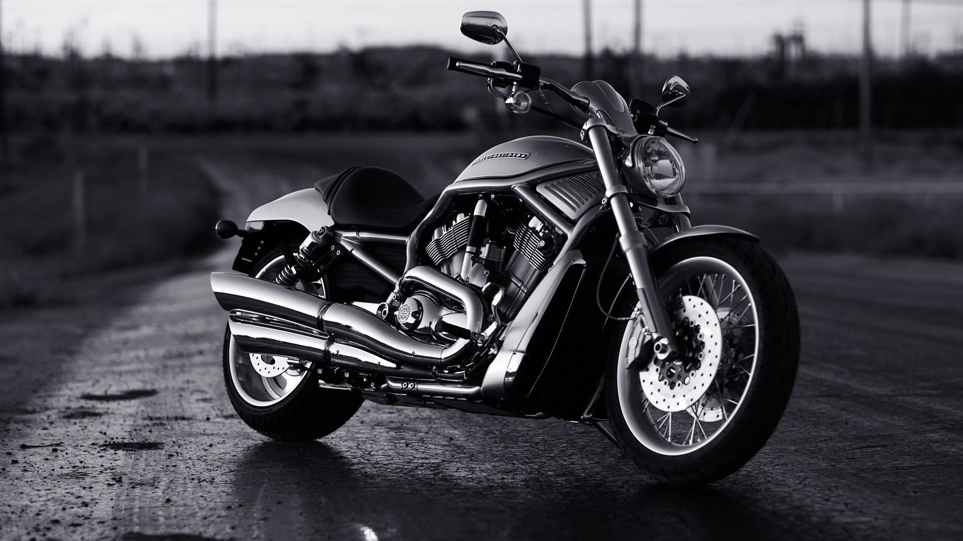 Harley-Davidson V-Rod, Harley-Davidson, Bianco e nero, Strada bagnata, Cromature, wallpaper Full HD