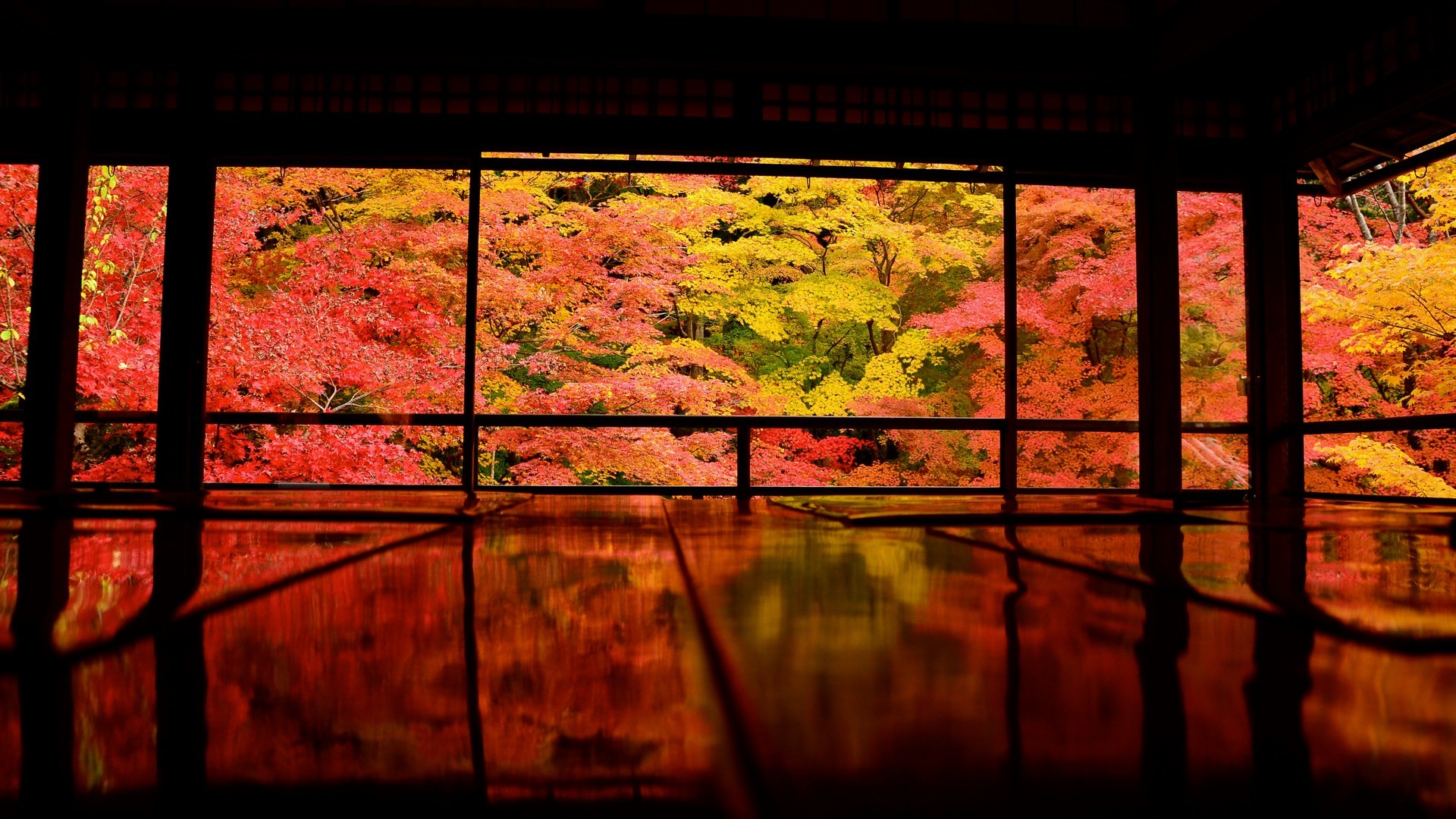 Rurikō-in, Kyoto, Giappone, Foglie autunnali, Riflesso, Full HD 1080p, sfondo desktop