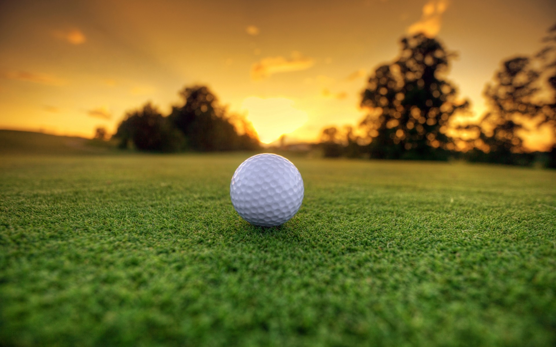 Golf, Pallina da golf, Prato, Tramonto, 1920x1200, sfondo per PC