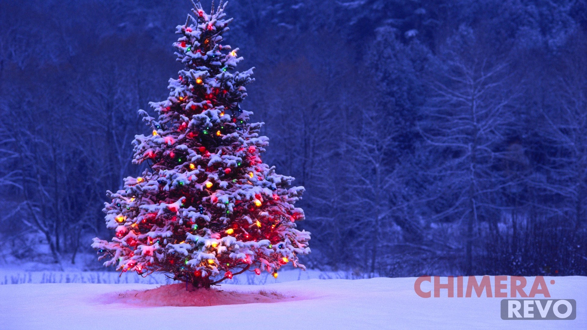 Albero di Natale, Bosco innevato, Luci, Inverno, 16:9 Full HD, sfondo widescreen