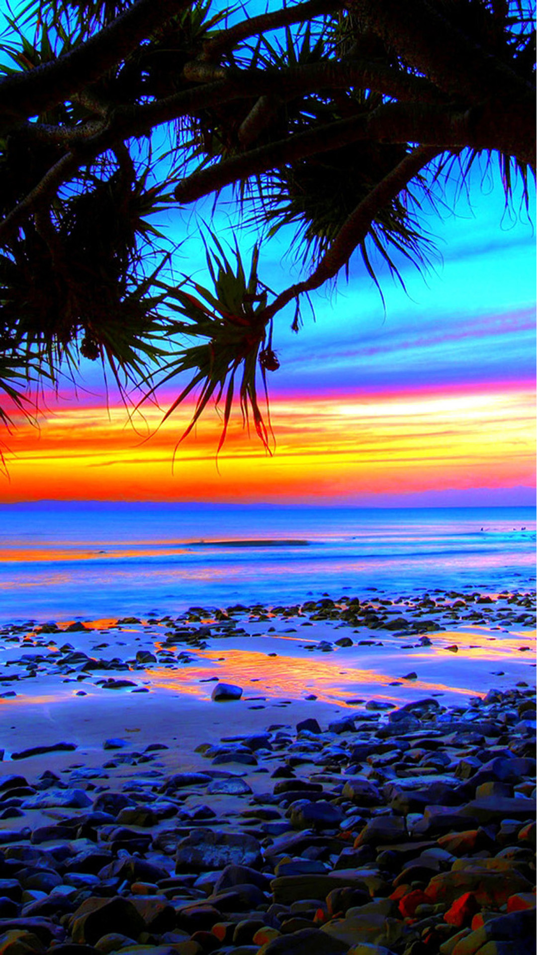 Tramonto, Spiaggia, Palme, Colori vivaci, schermata di blocco iPhone 6 Plus
