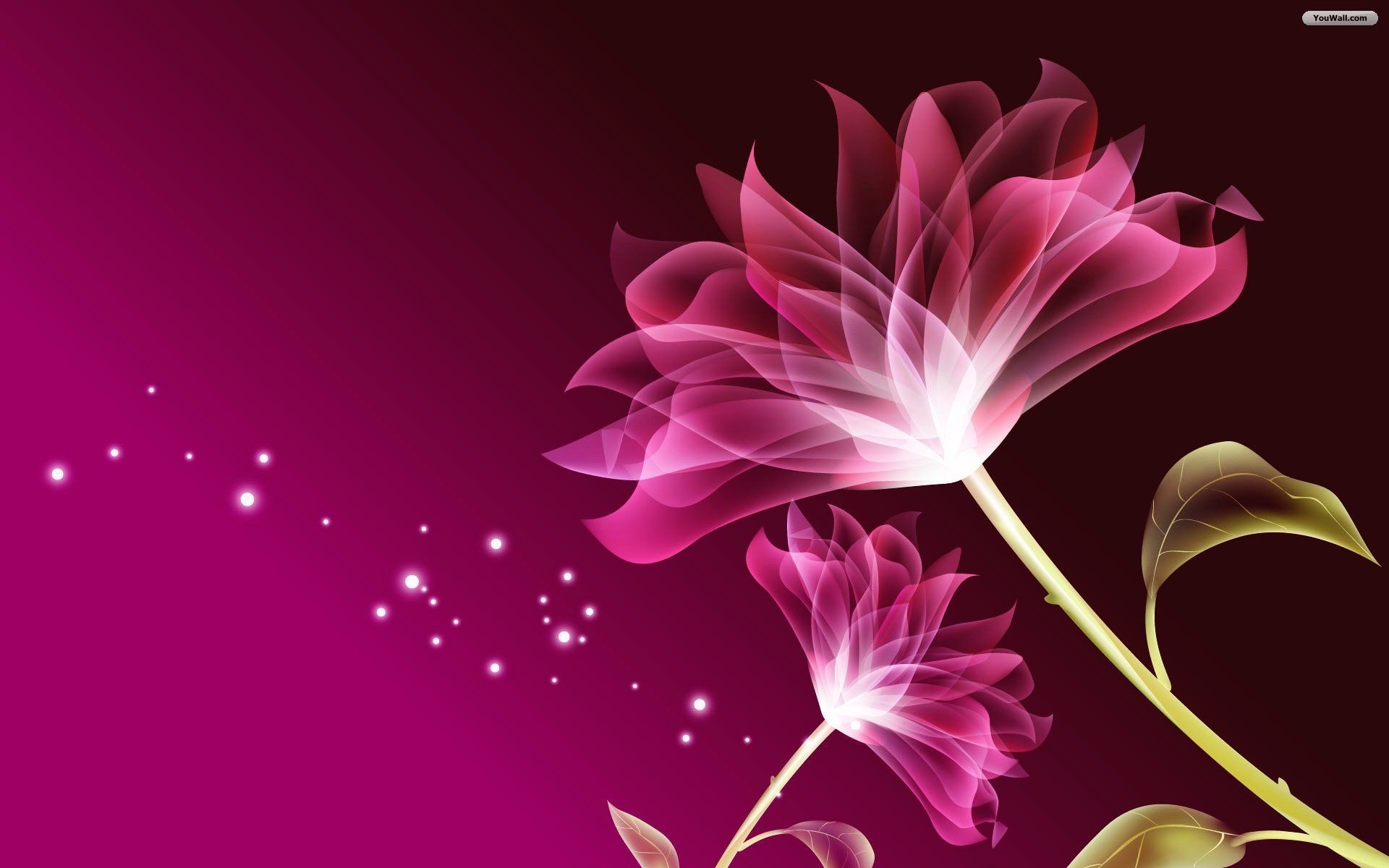 Fiori, Arte digitale, Fucsia, Stelle, Full HD, sfondo per portatile