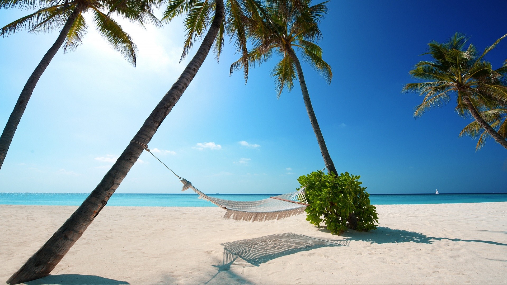 Amaca, Palme, Spiaggia tropicale, Mare, Full HD, wallpaper per desktop