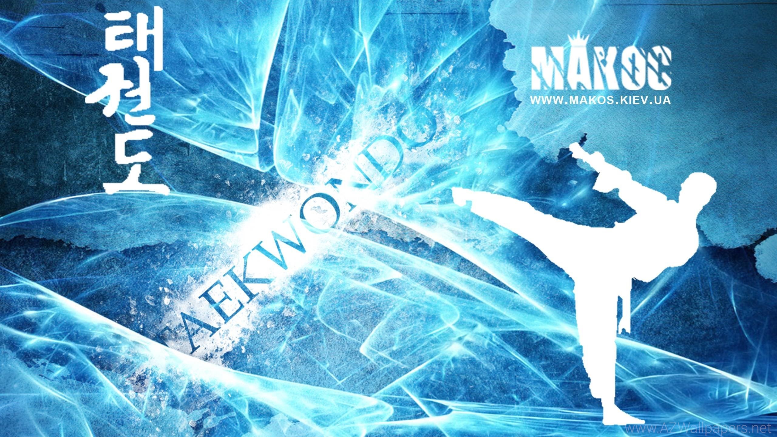 Taekwondo, 태권도, Silhouette, Azzurro, 2K, sfondo per PC e portatile