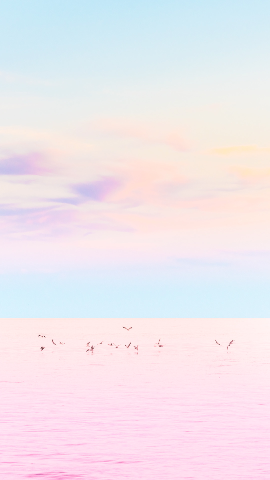 Mare, Uccelli, Rosa, Minimalista, Full HD, schermata di blocco del cellulare