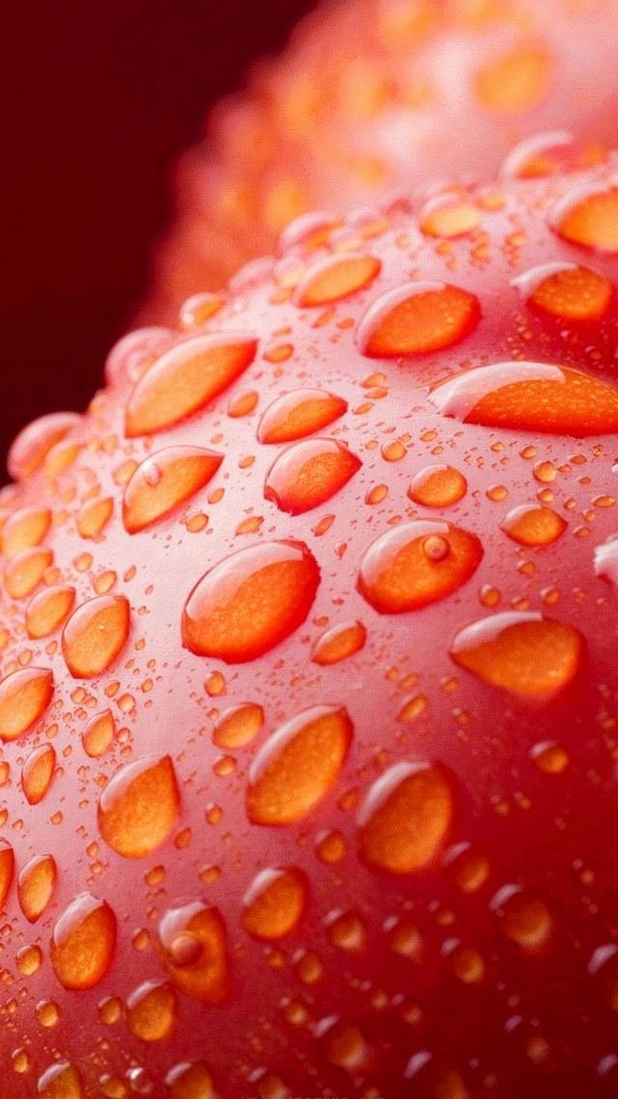 Gocce d'acqua, Rosso, Macro, sfondo per iPhone e Android