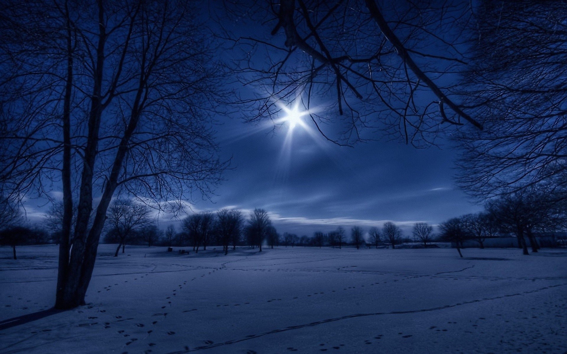 Luna, Neve, Alberi spogli, Notte d'inverno, 1920x1200, sfondo MacBook Pro