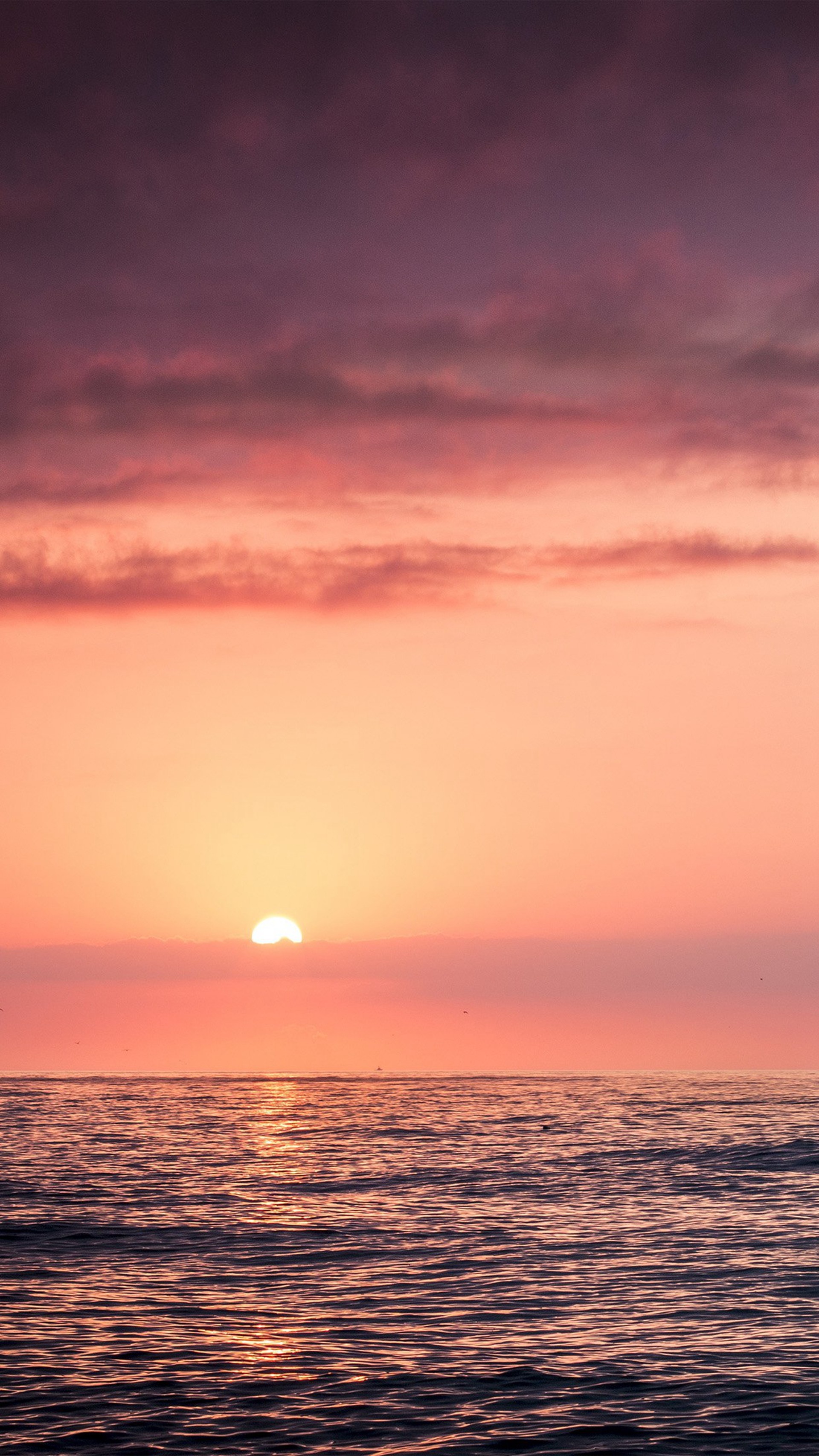 Tramonto, Mare, Cielo rosa, Sole, QHD+, sfondo iPhone 6