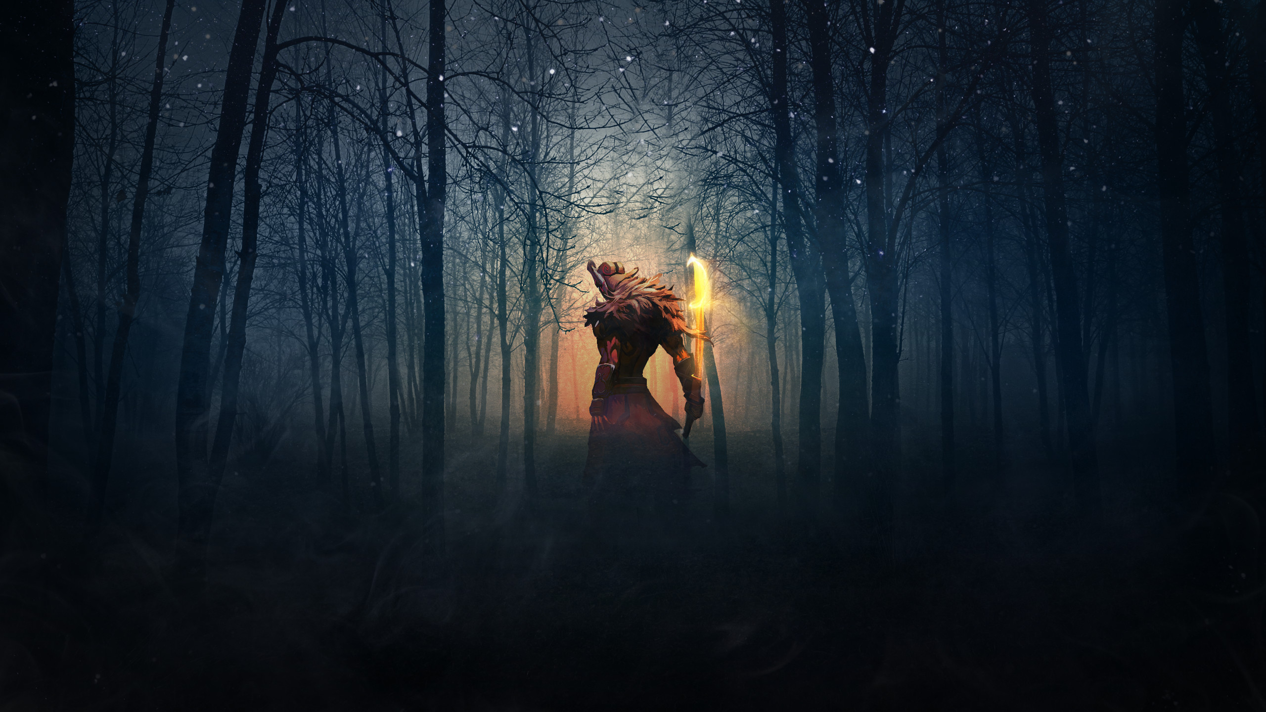 Foresta, Notte, Guerriero, Torcia, Fantasy, 2560x1440, immagine di sfondo