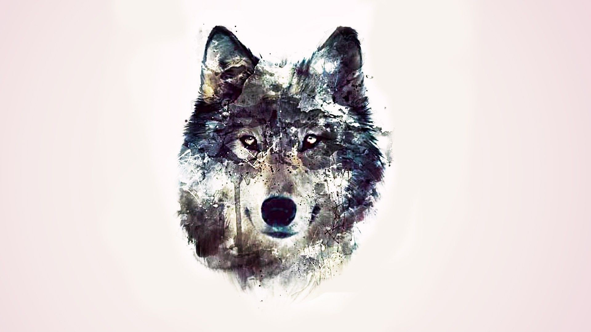 Lupo, Acquerello, Sfondo bianco, Full HD, wallpaper per computer