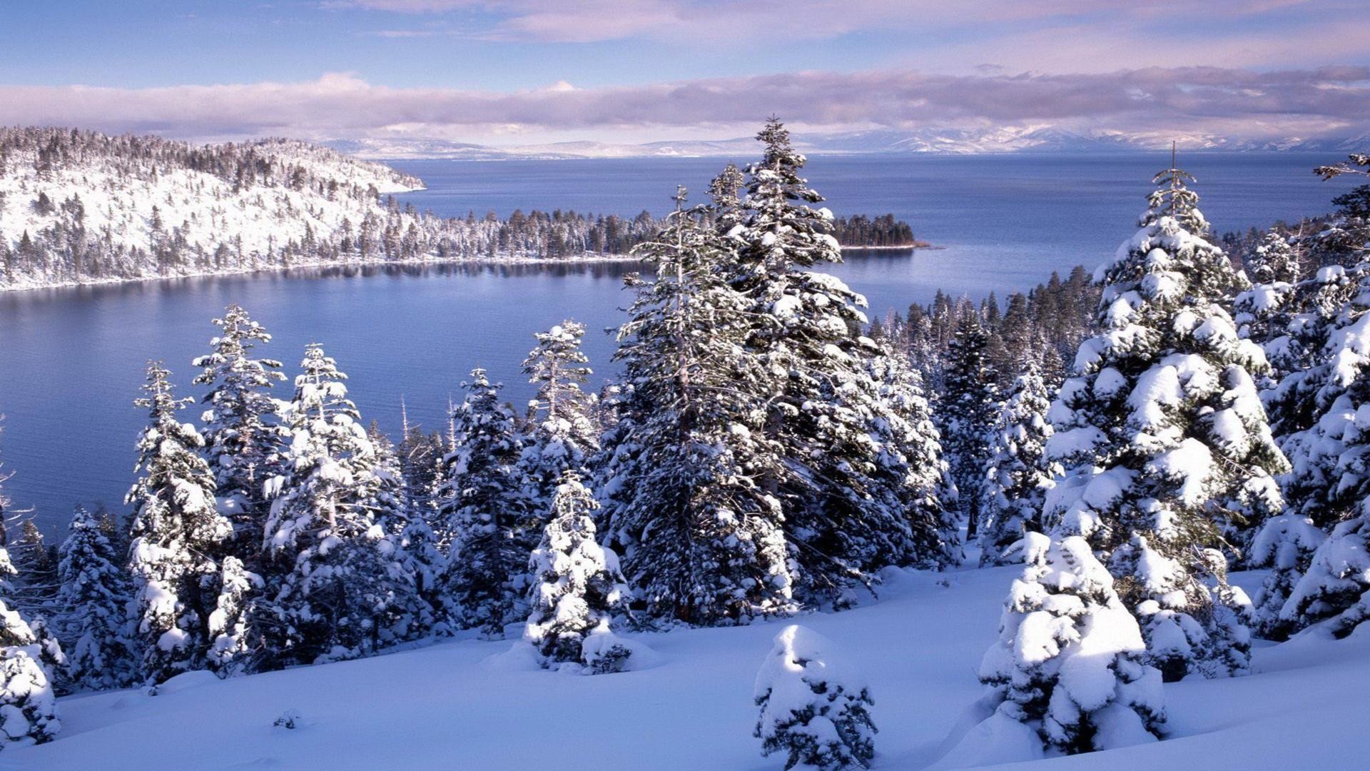 Lago Tahoe, Abeti innevati, Lago, Montagne, Full HD, sfondo Windows 11