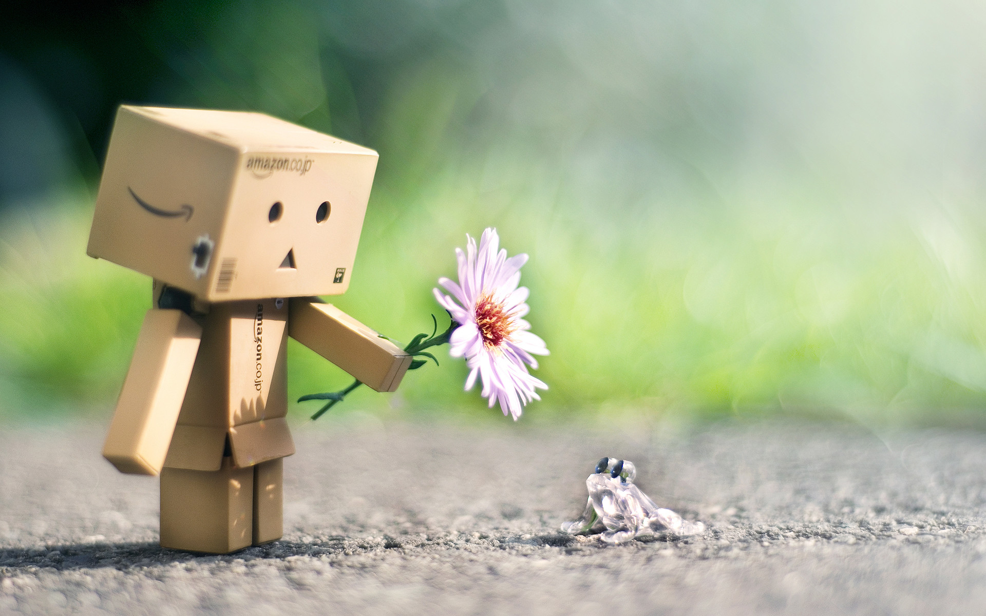Danbo, Fiore, Macro, Giocattolo di cartone, Full HD, wallpaper per computer