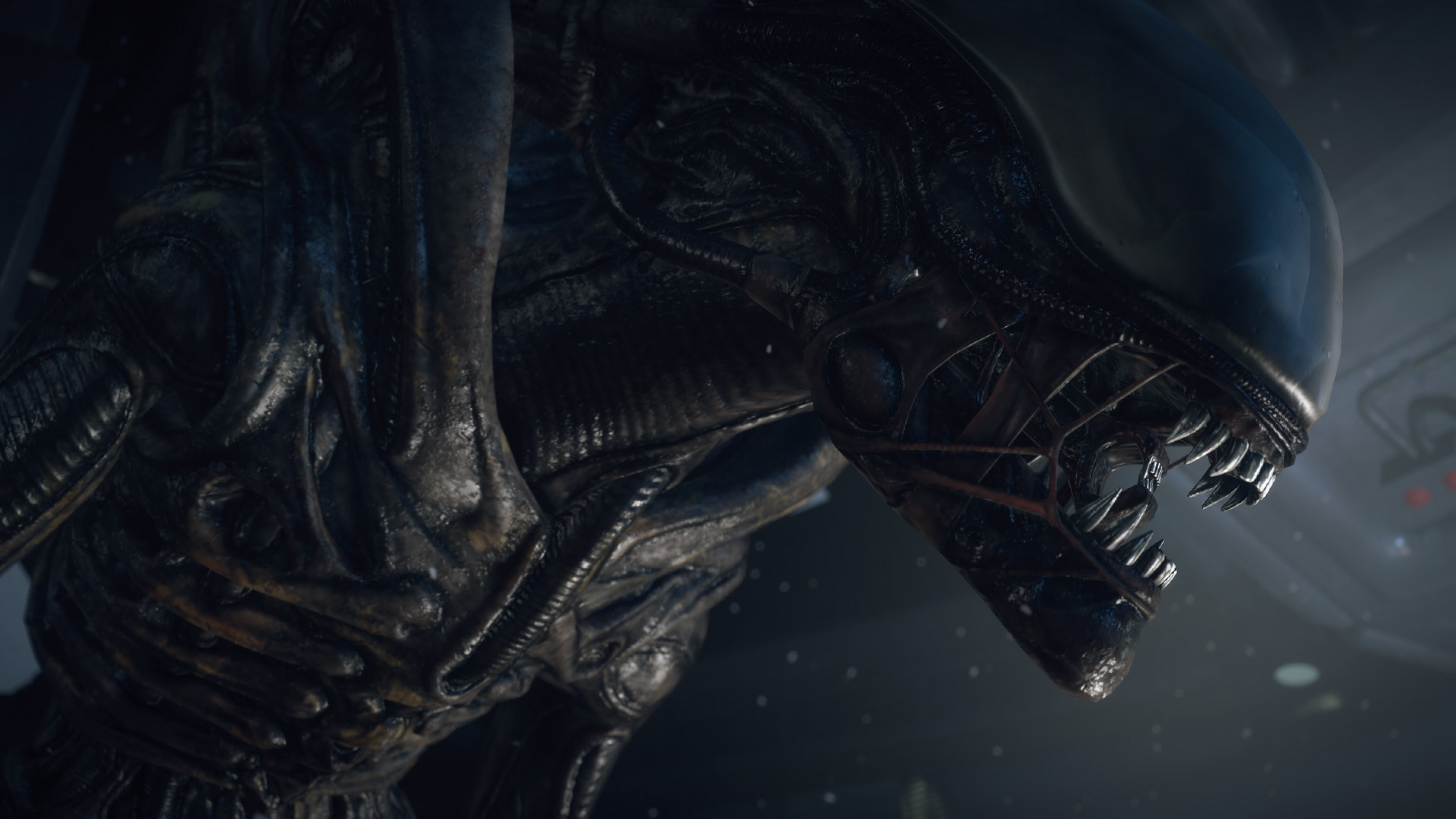 Xenomorfo, Alien: Isolation, Videogioco, Scuro, 4K, sfondo per portatile