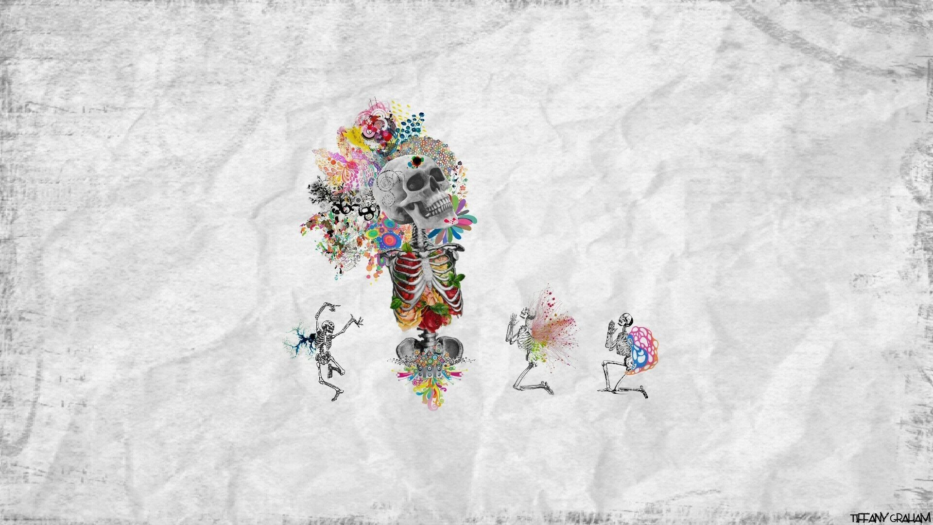 Teschio, Fiori, Scheletri, Collage, Carta stropicciata, 1920x1080, immagine di sfondo