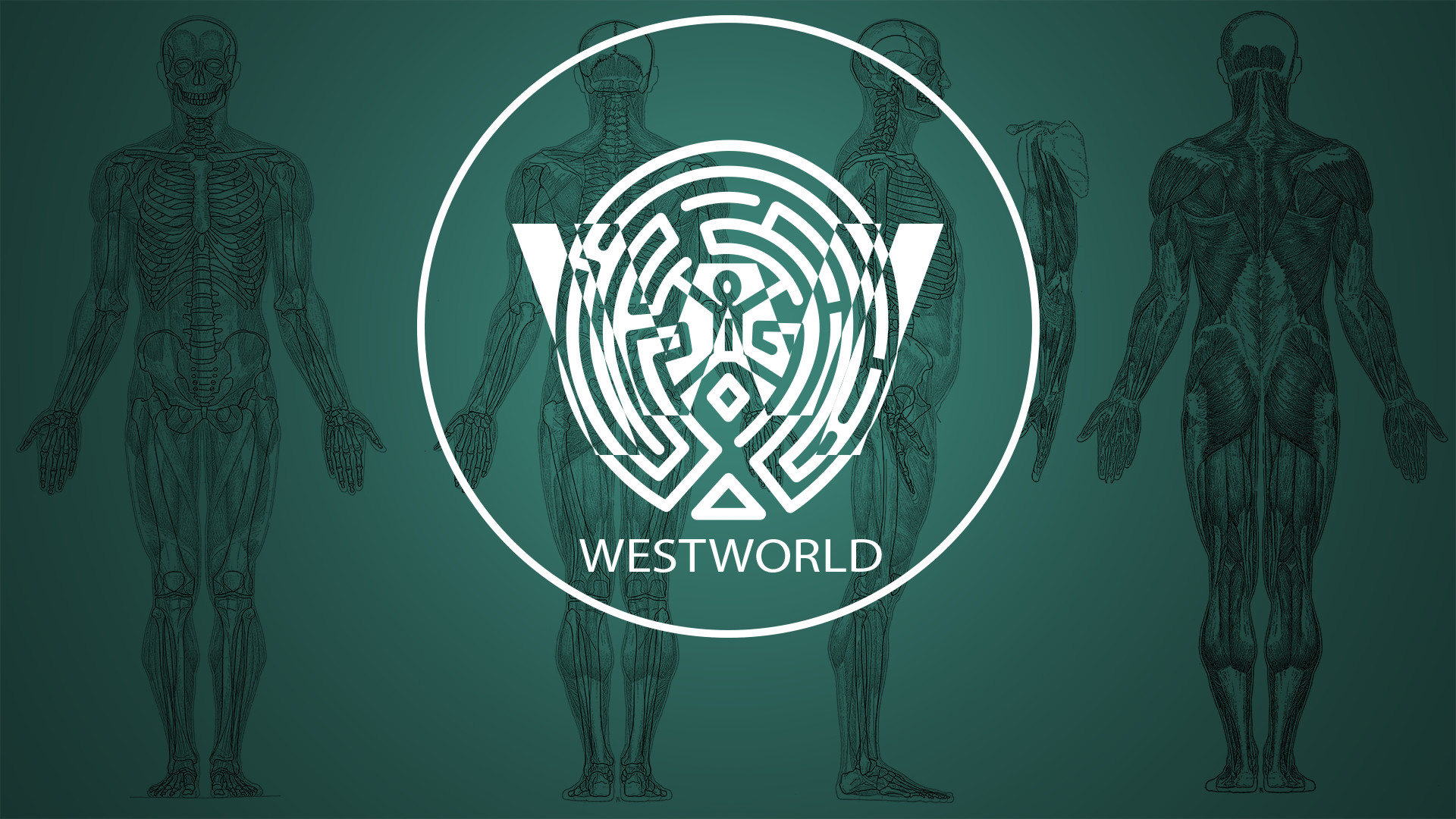 Westworld, Labirinto, Logo, Anatomia, Verde acqua, Full HD, sfondo per PC e portatile