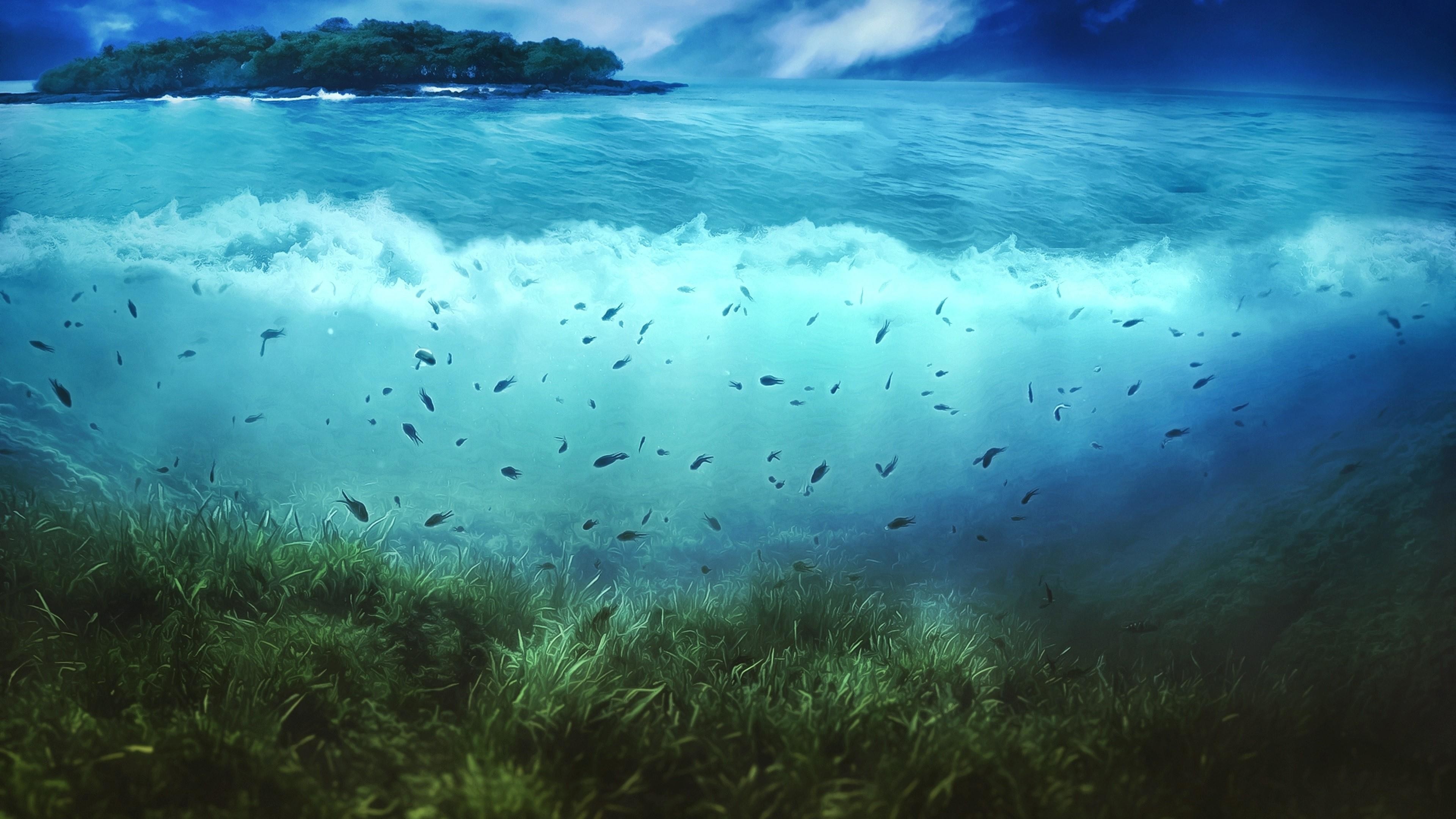 Onda, Prateria marina, Pesci, Isola, 3840x2160, sfondo per PC