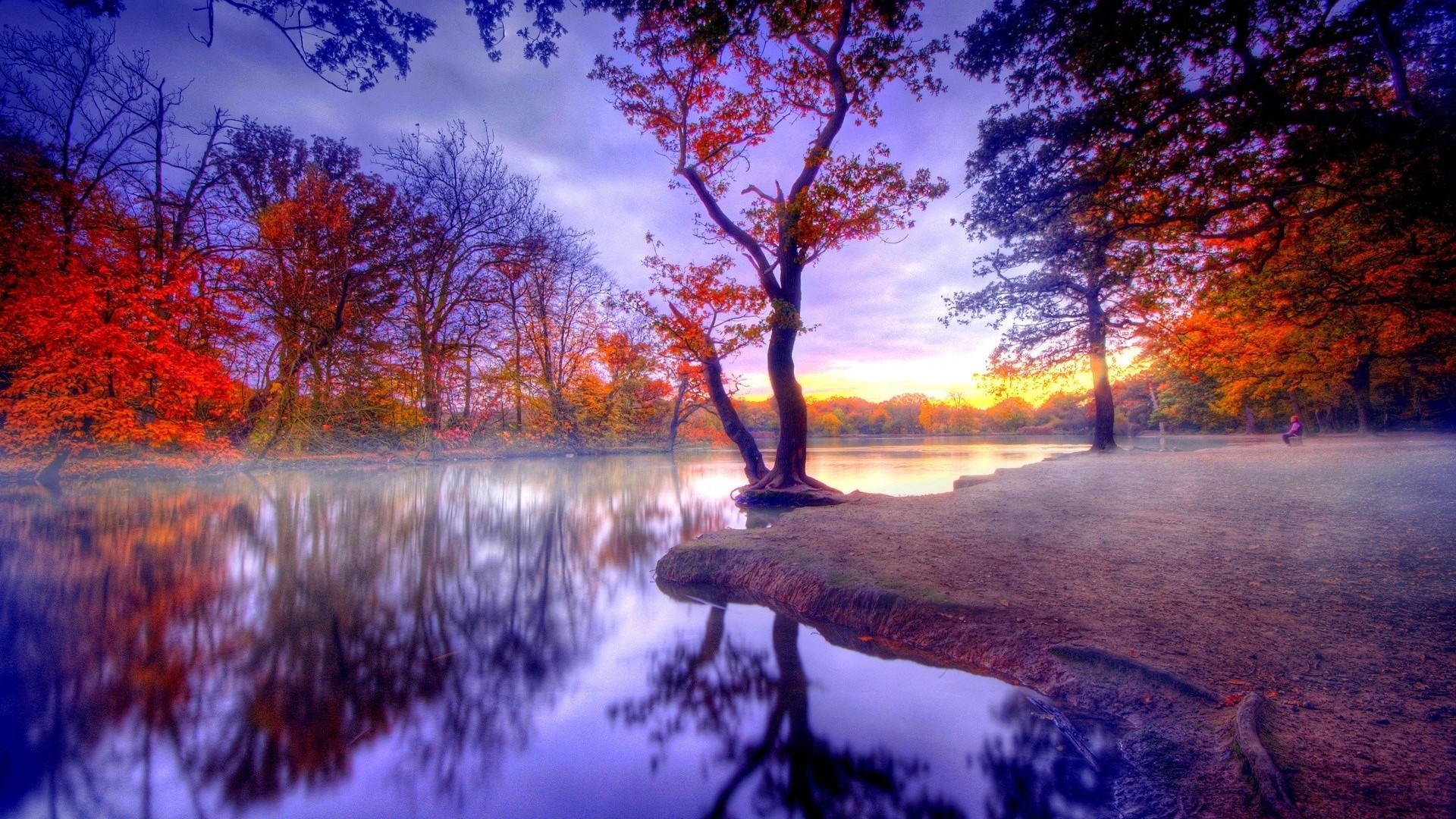 Lago, Alberi, Riflesso, Tramonto, Viola, Full HD, wallpaper per computer