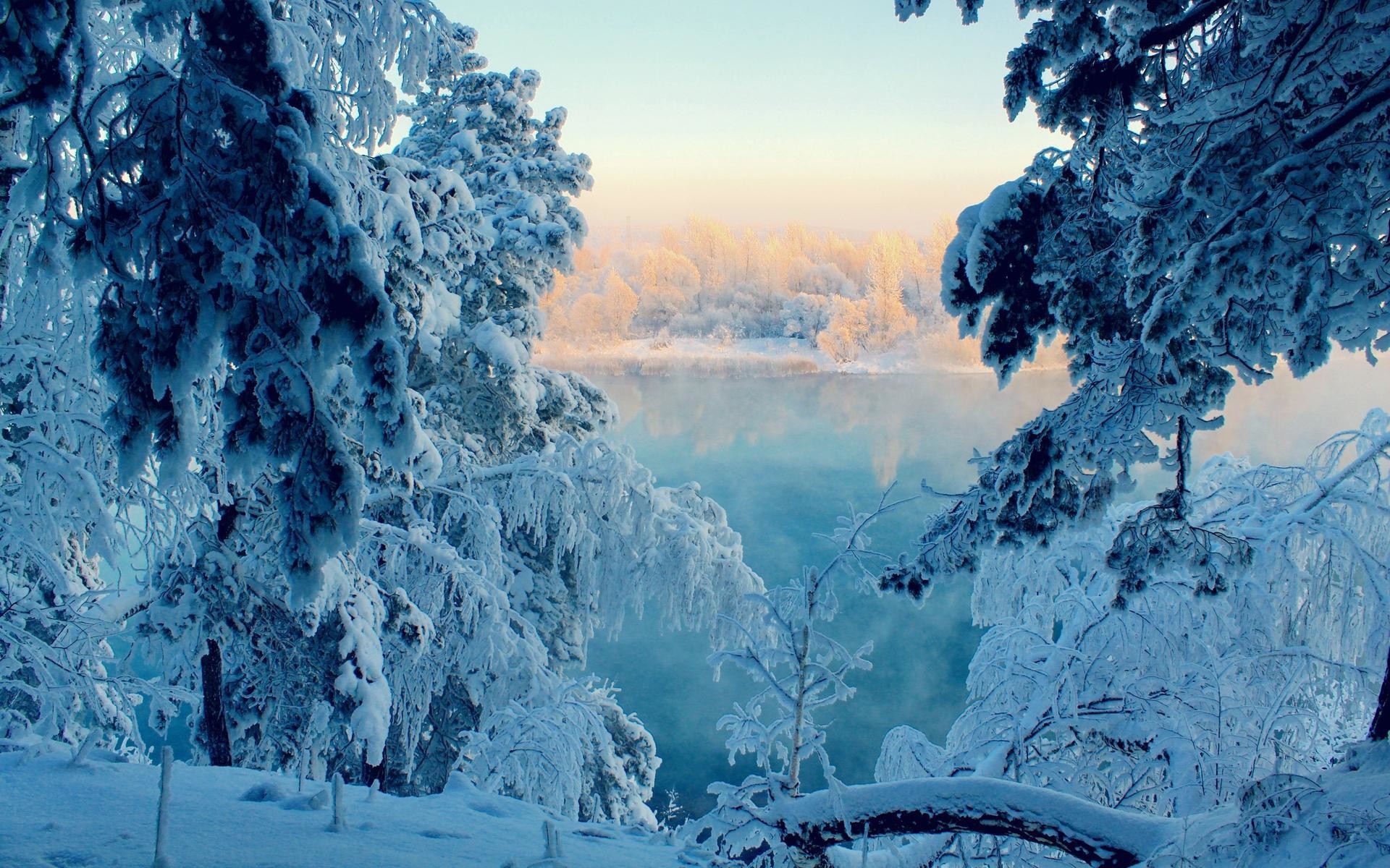 Abeti innevati, Lago, Nebbia, Inverno, sfondo Full HD per desktop
