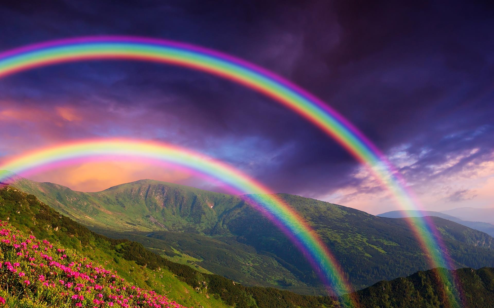 Doppio arcobaleno, Montagne, Fiori rosa, Cielo viola, Full HD, wallpaper desktop