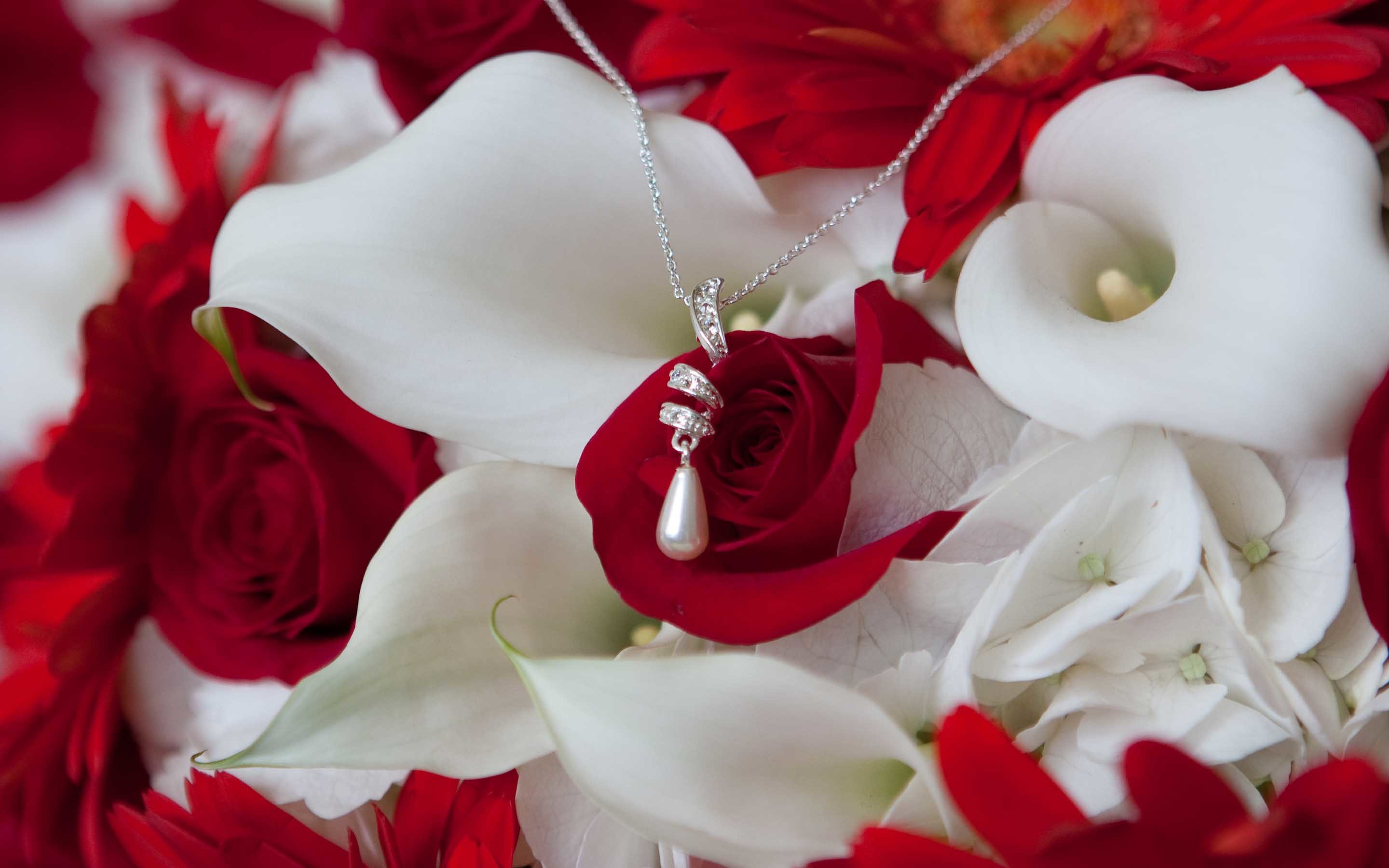 Rosa rossa, Calle bianche, Ciondolo, Bouquet, 2K, sfondo per portatile