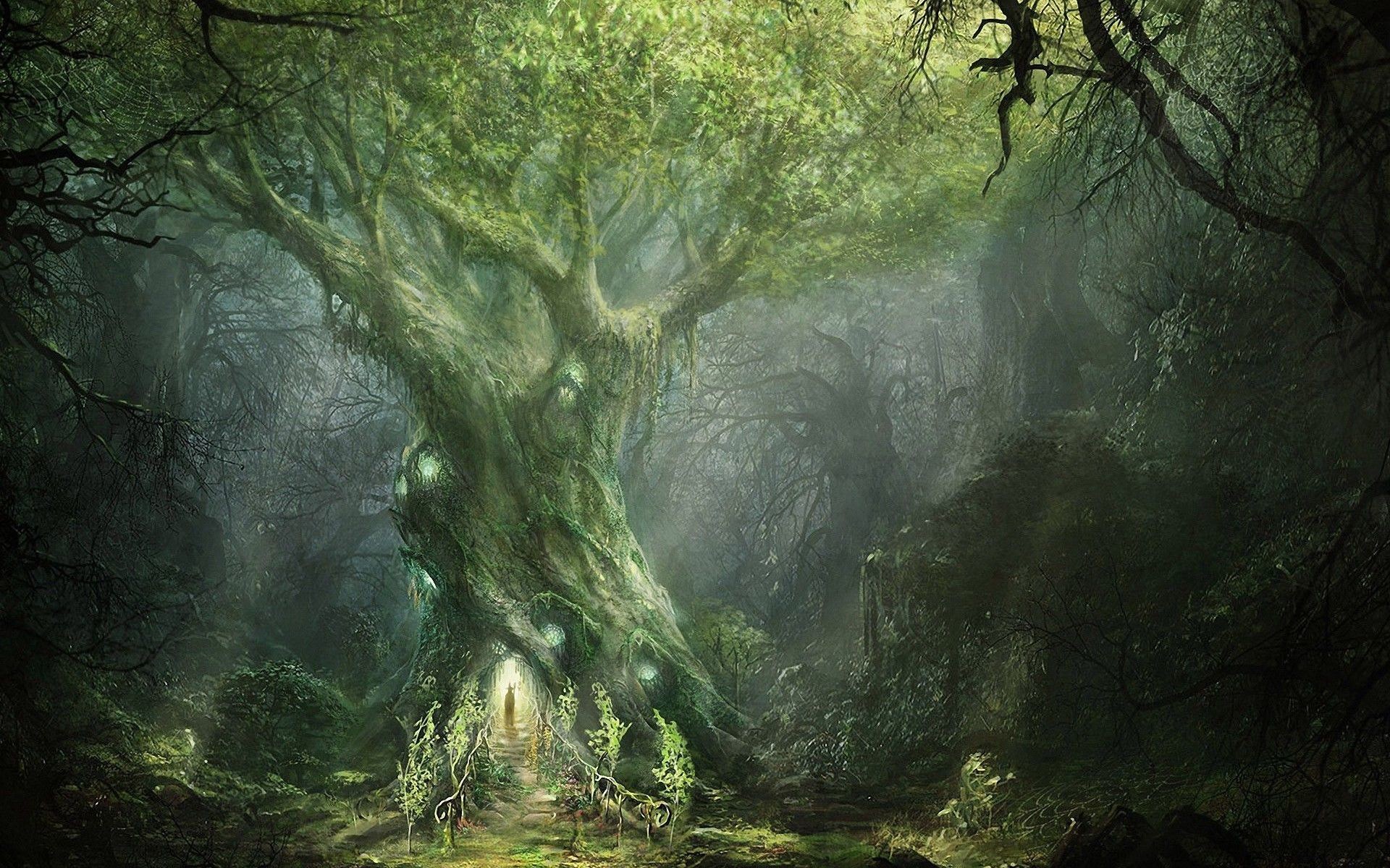 Il Signore degli Anelli, Albero antico, Verde, 1920x1200, sfondo MacBook Pro