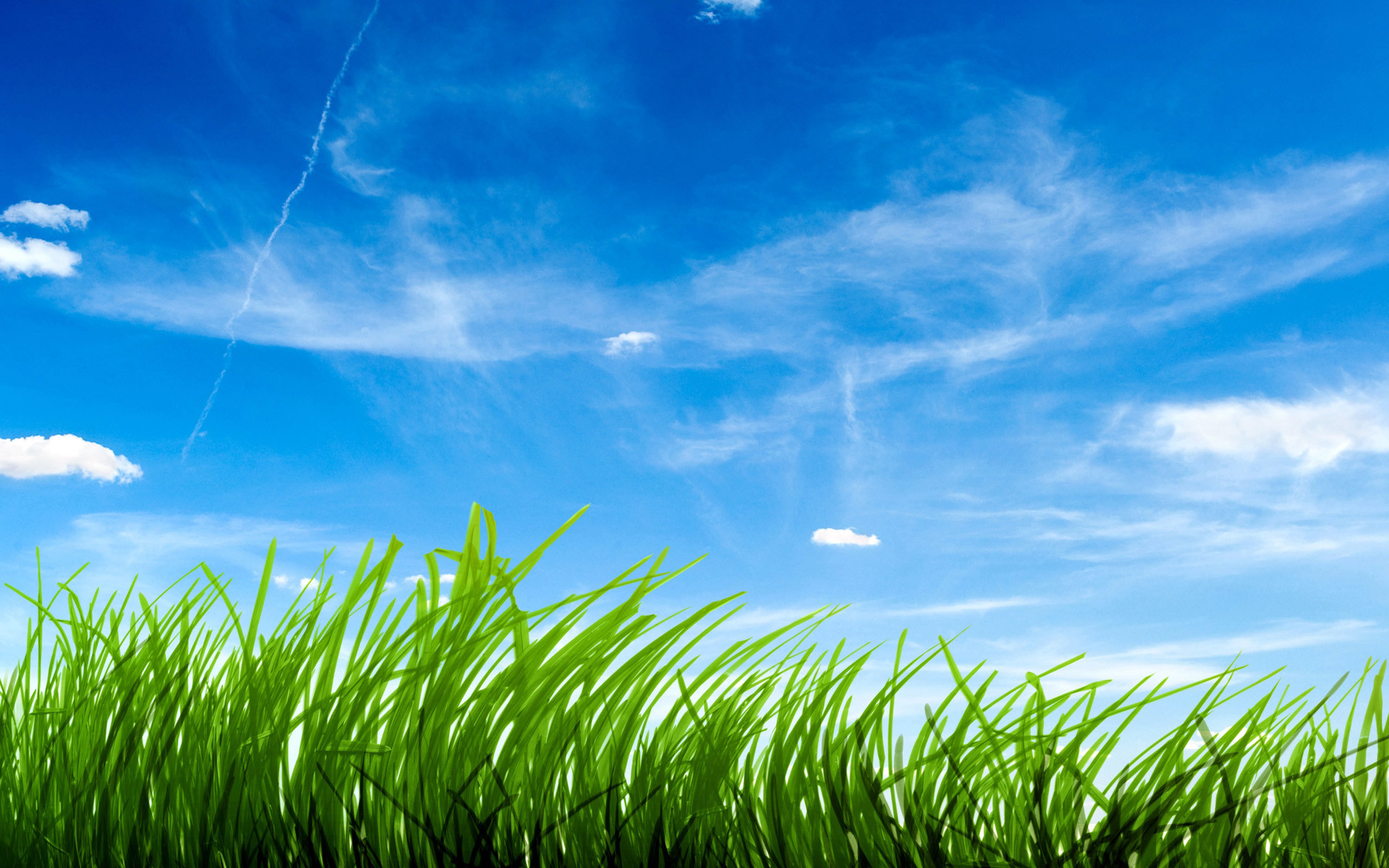 Erba, Cielo azzurro, Nuvole, Estate, 16:10 Full HD, sfondo widescreen