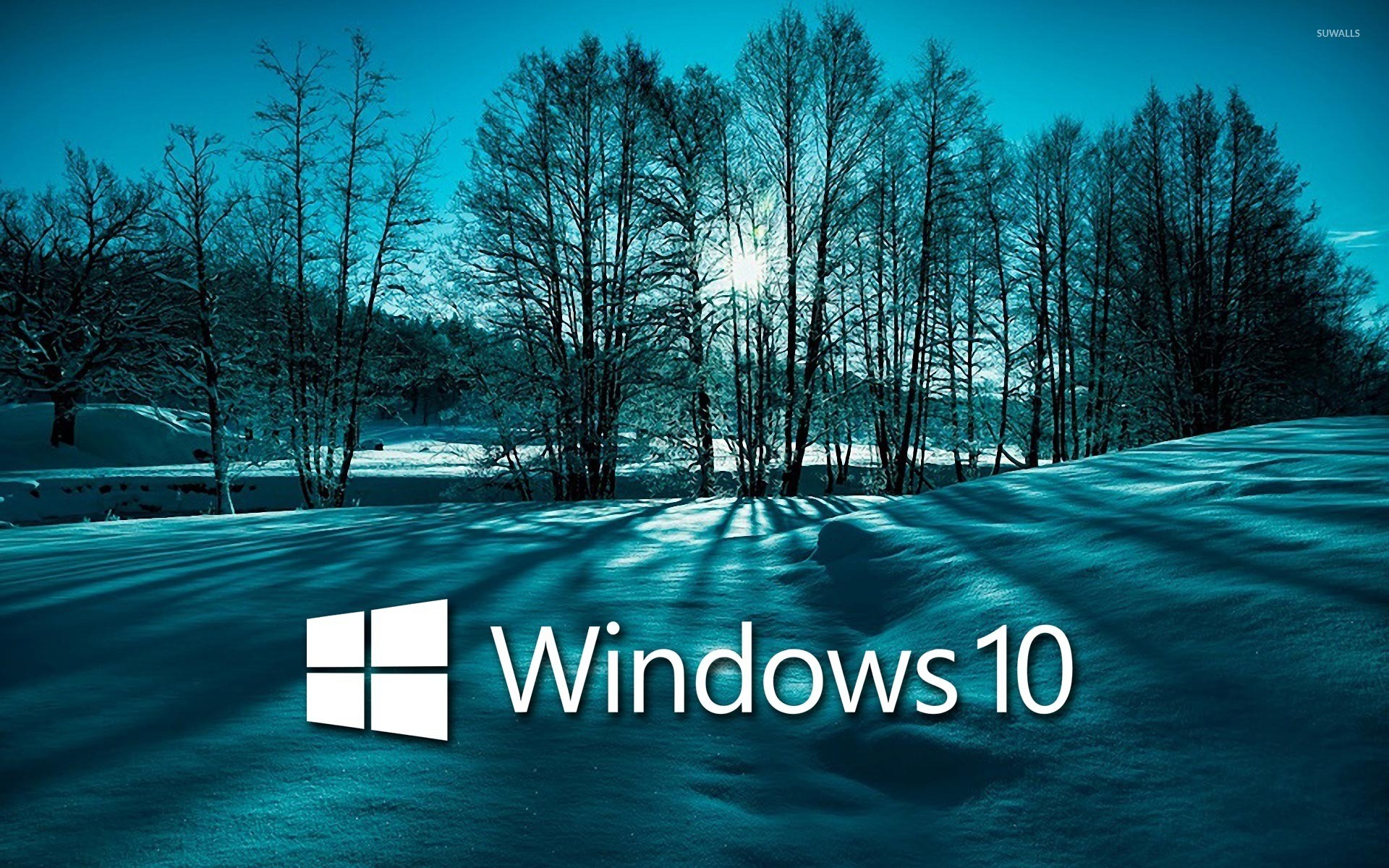 Windows 10, Logo Windows, Neve, Alberi, Inverno, 1920x1200, immagine di sfondo