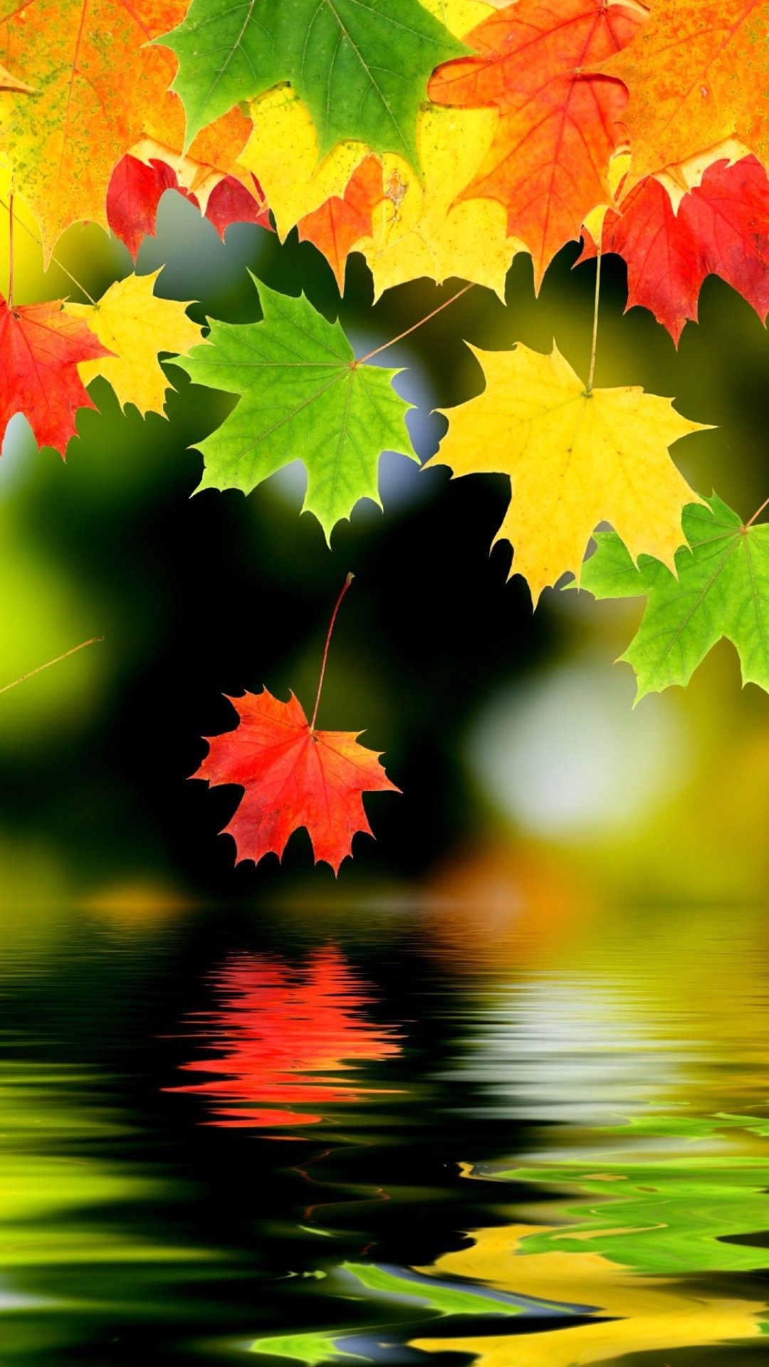 Foglie d'acero, Autunno, Riflesso, Acqua, sfondo schermata di blocco Samsung