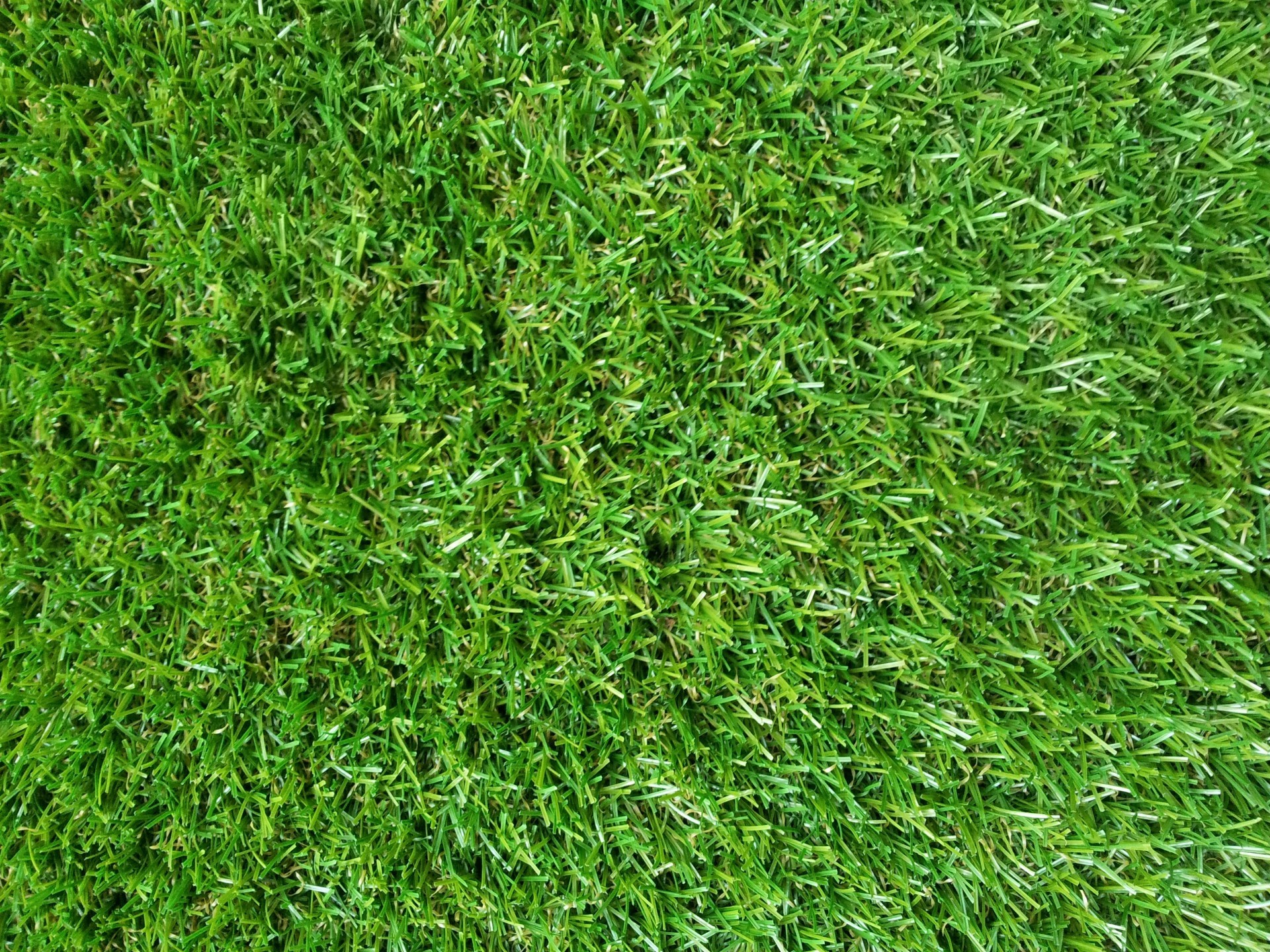 Texture erba, Prato, Verde, Full HD, sfondo per iPad e tablet