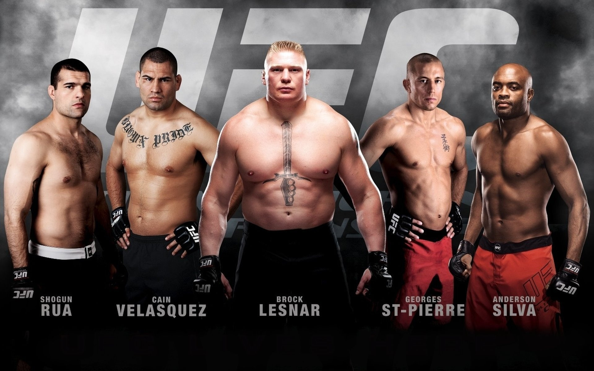 Maurício Rua, Cain Velasquez, Brock Lesnar, Georges St-Pierre, Anderson Silva, UFC, wallpaper desktop