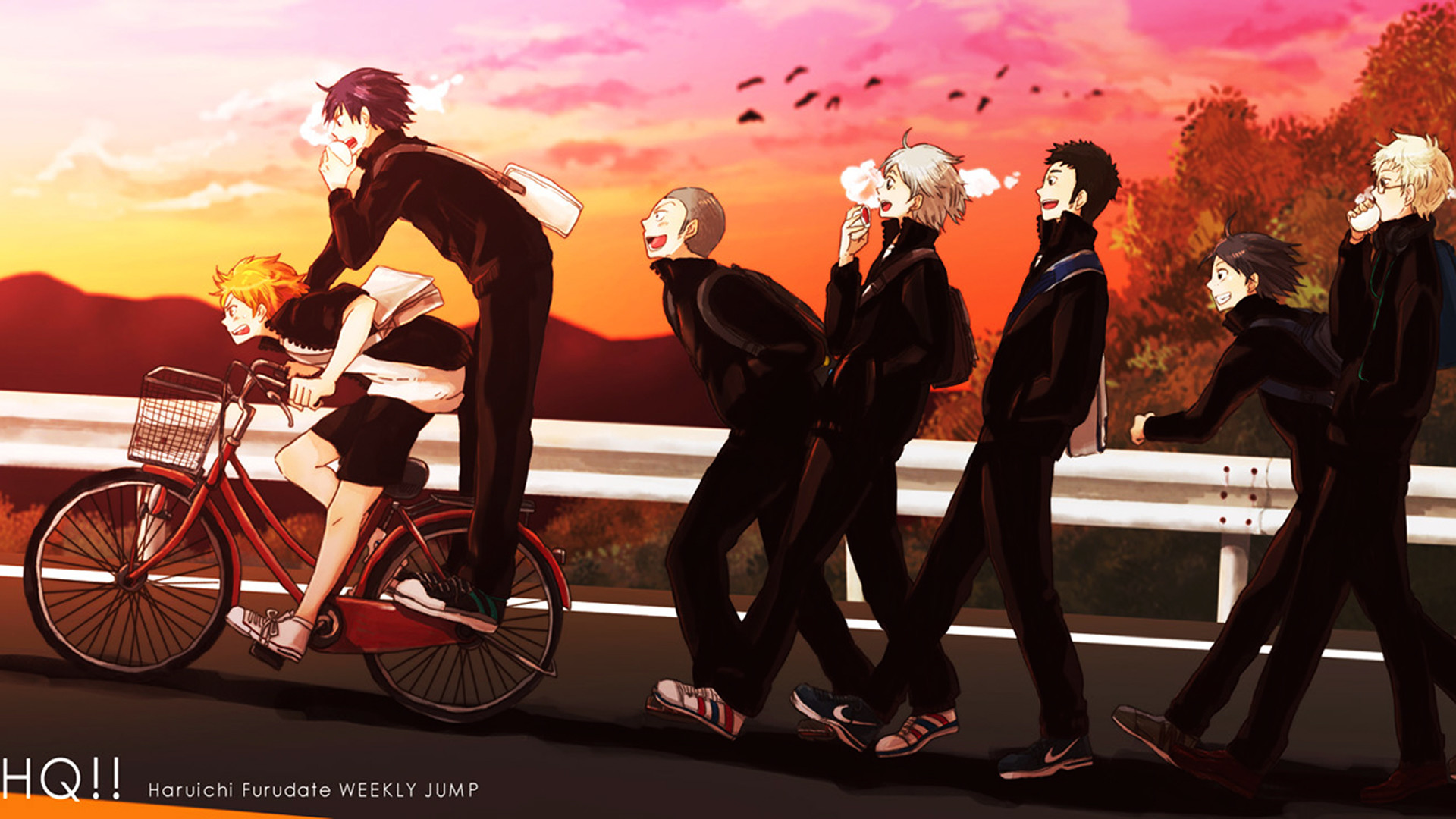 Karasuno, Shoyo Hinata, Haikyu!!, Bicicletta, Tramonto, 1920x1080, sfondo per PC