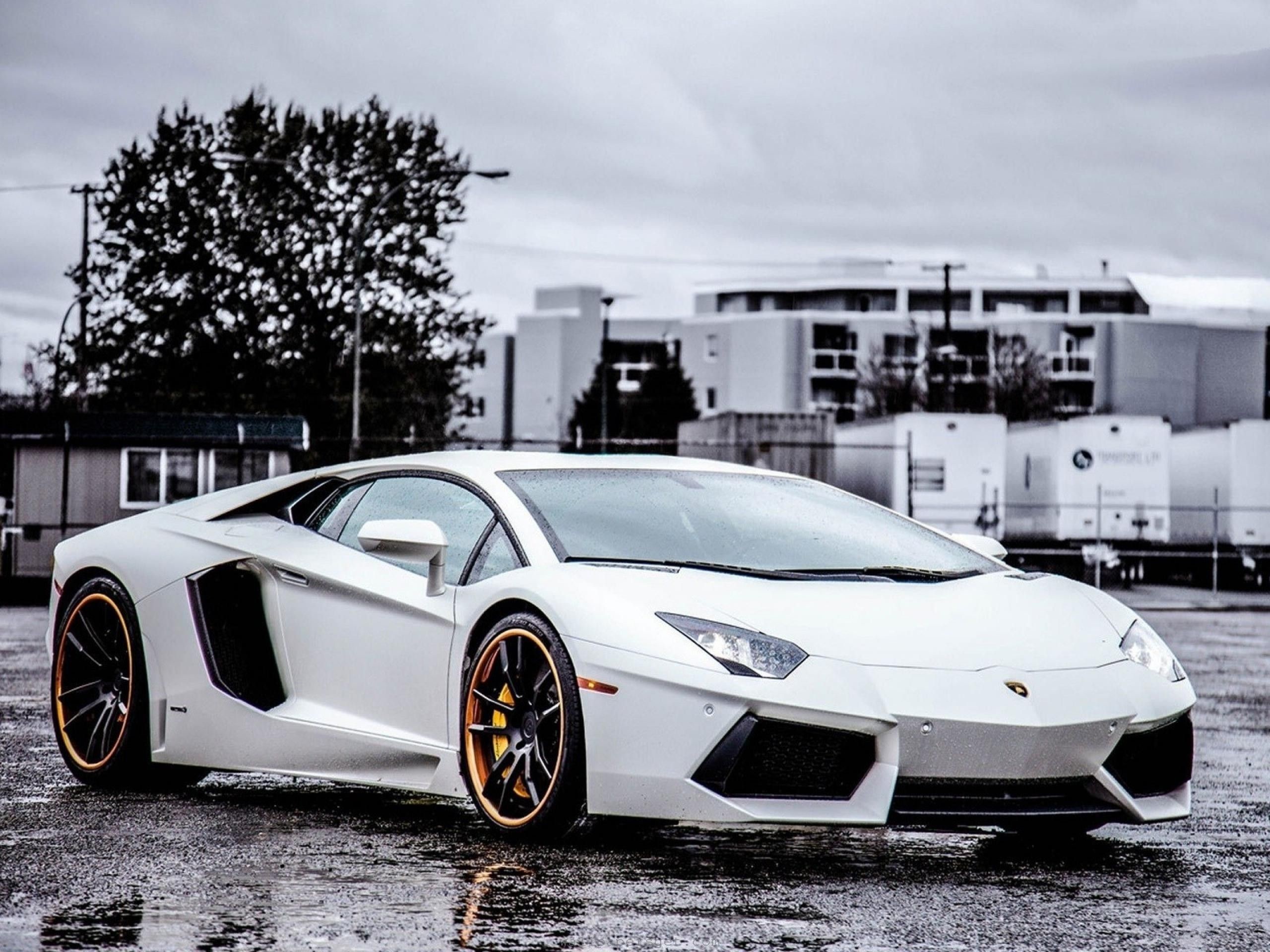 Lamborghini Aventador, Bianco, Parcheggio, Supercar, 2K, sfondo per iPad e tablet