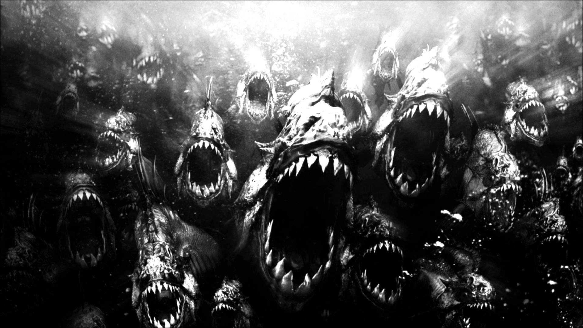 Piranha, Denti, Bianco e nero, Subacqueo, 16:9 Full HD, sfondo widescreen