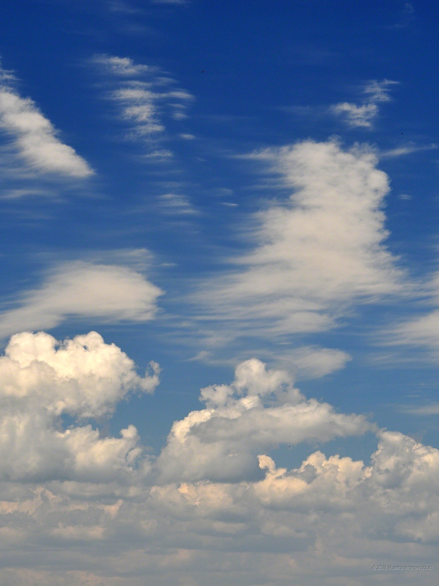 Nuvole, Cielo azzurro, Cumuli, QHD+, sfondo per tablet