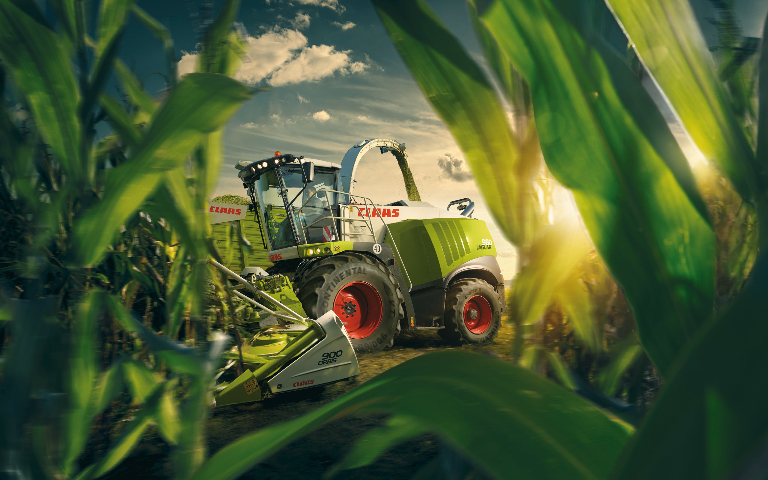 Claas Jaguar, Trincia caricatrice, Campo di mais, Agricoltura, sfondo PC 2K