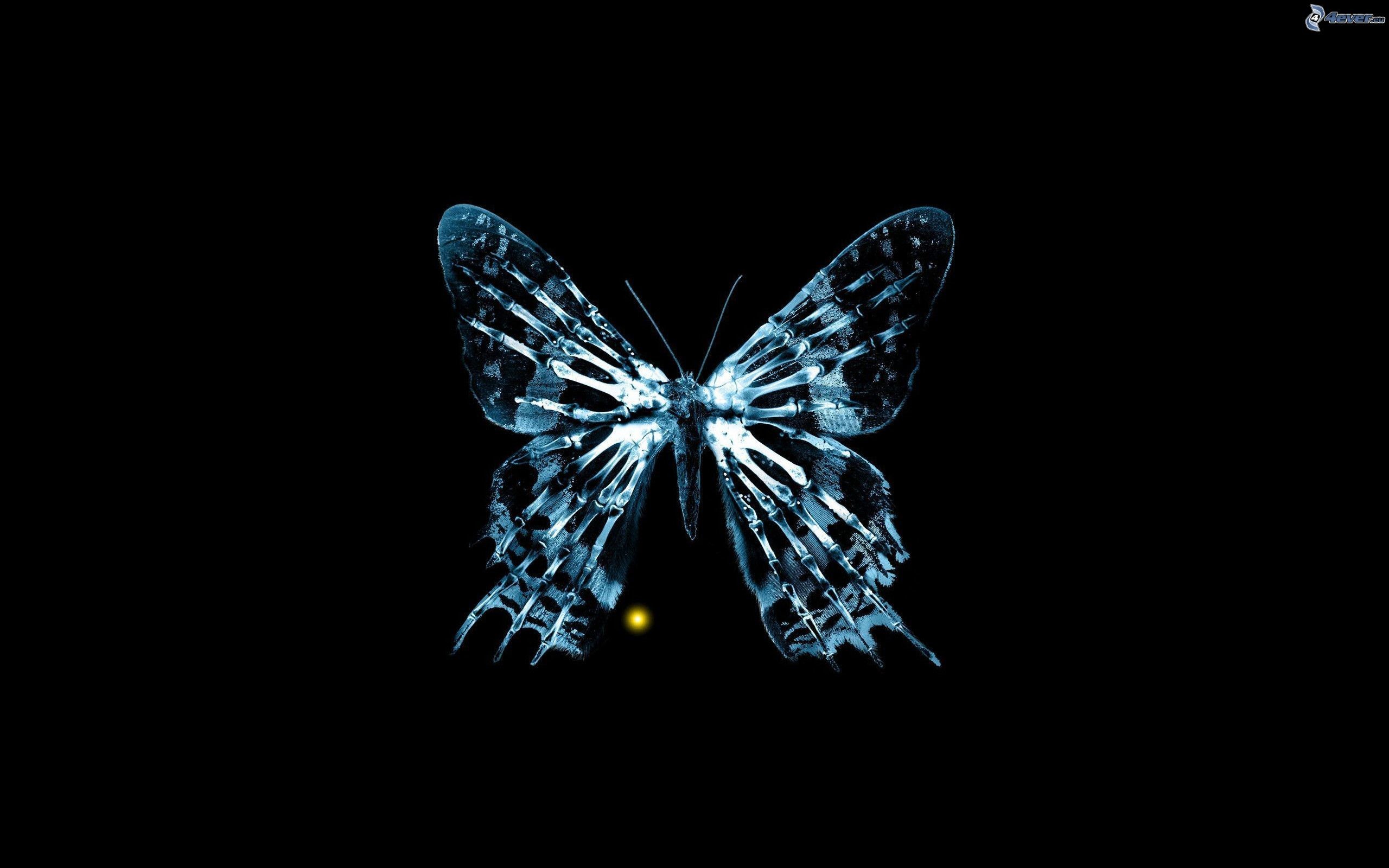 Farfalla, Arte digitale, Sfondo nero, Blu, 2K, wallpaper per PC