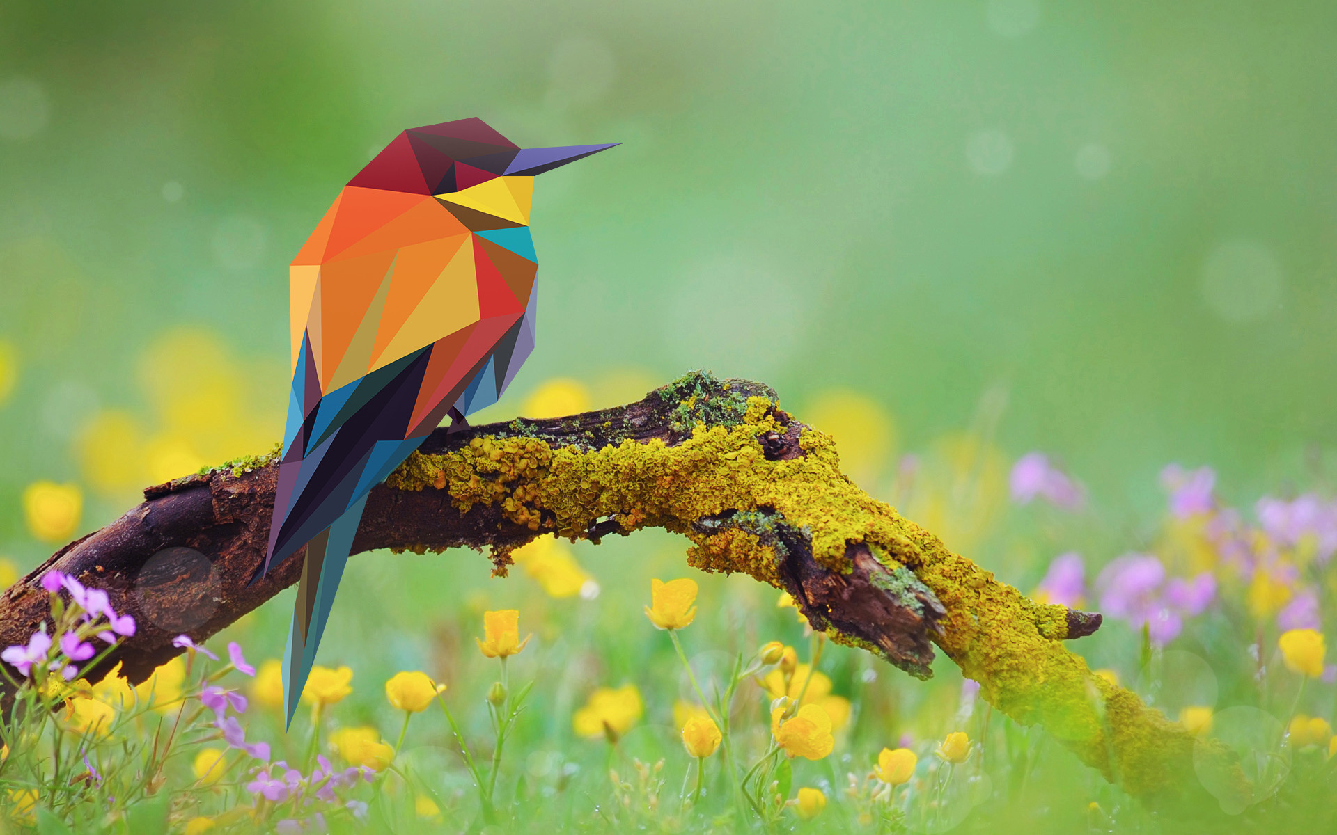 Low poly, Gruccione, Uccello, Fiori, 1920x1200, immagine di sfondo