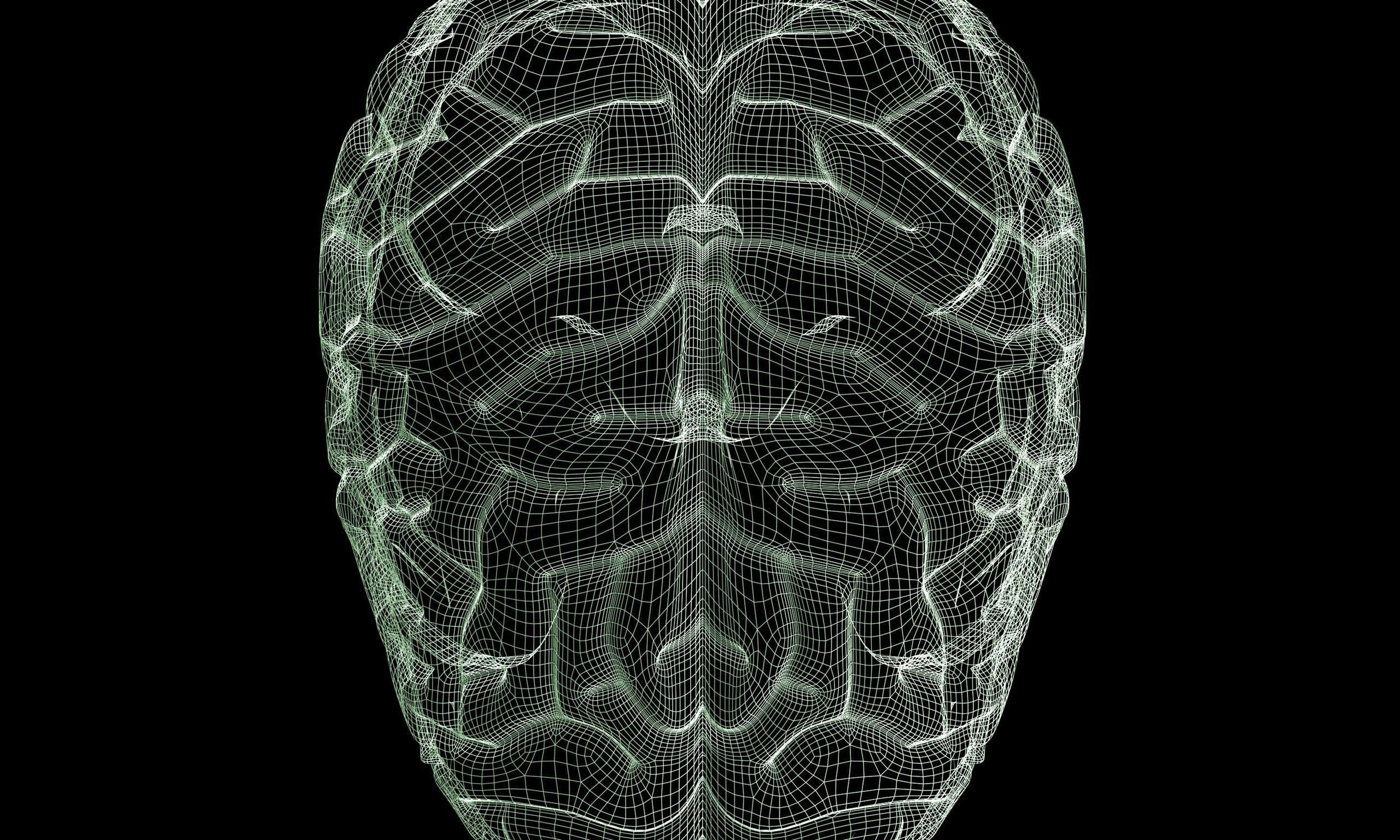Cervello, Wireframe, Rendering 3D, Sfondo nero, 2K, wallpaper per portatile