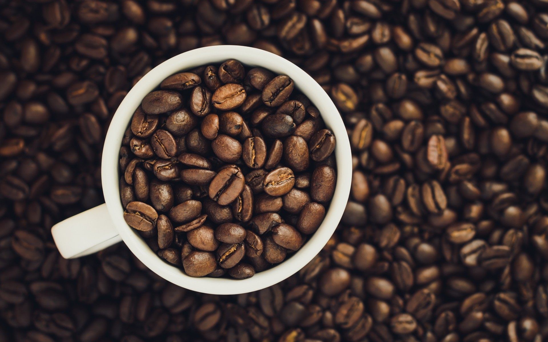 Tazza piena di chicchi, Chicchi di caffè, Vista dall'alto, Full HD, sfondo Windows 11