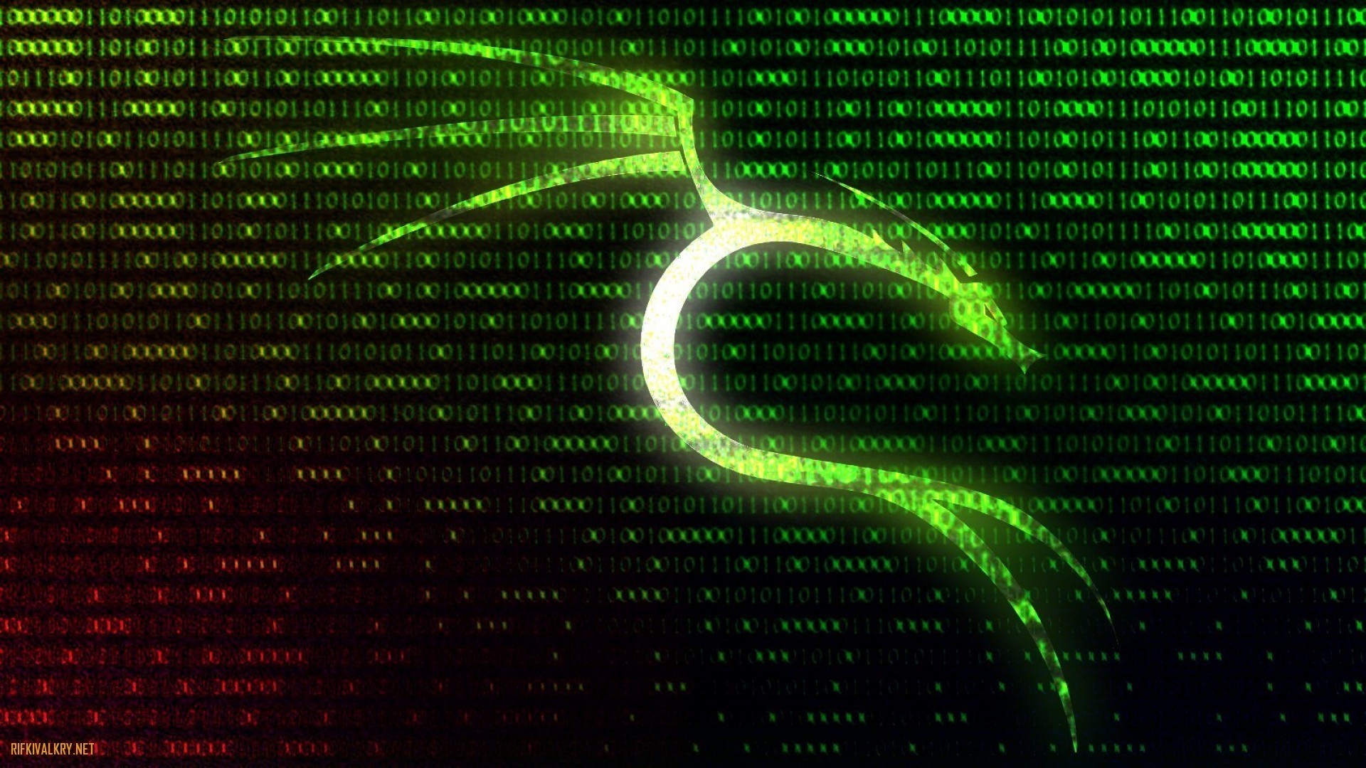 Kali Linux, Logo del drago, Codice binario, Verde, Full HD, sfondo per PC